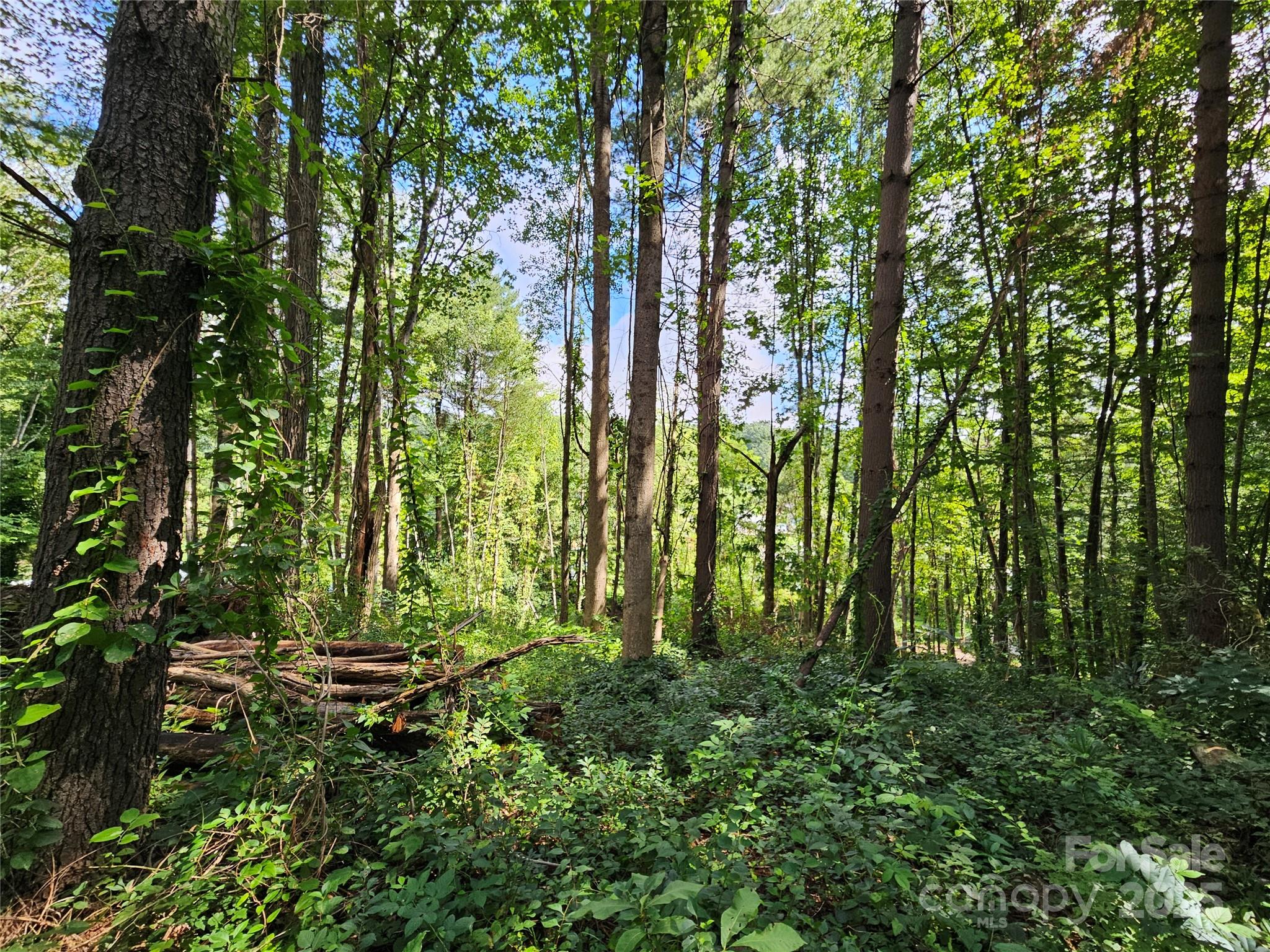 000 Dolan Road 2 Property Photo 4