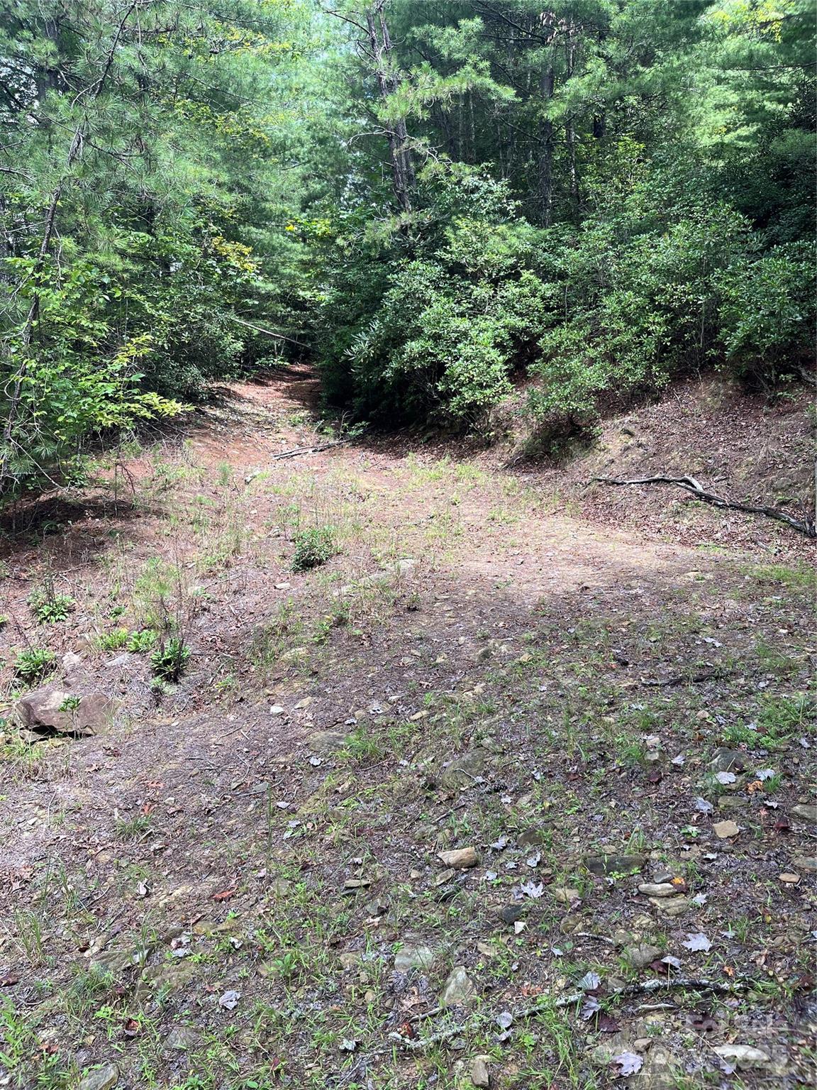 Tbd Normcol Road Property Photo 6