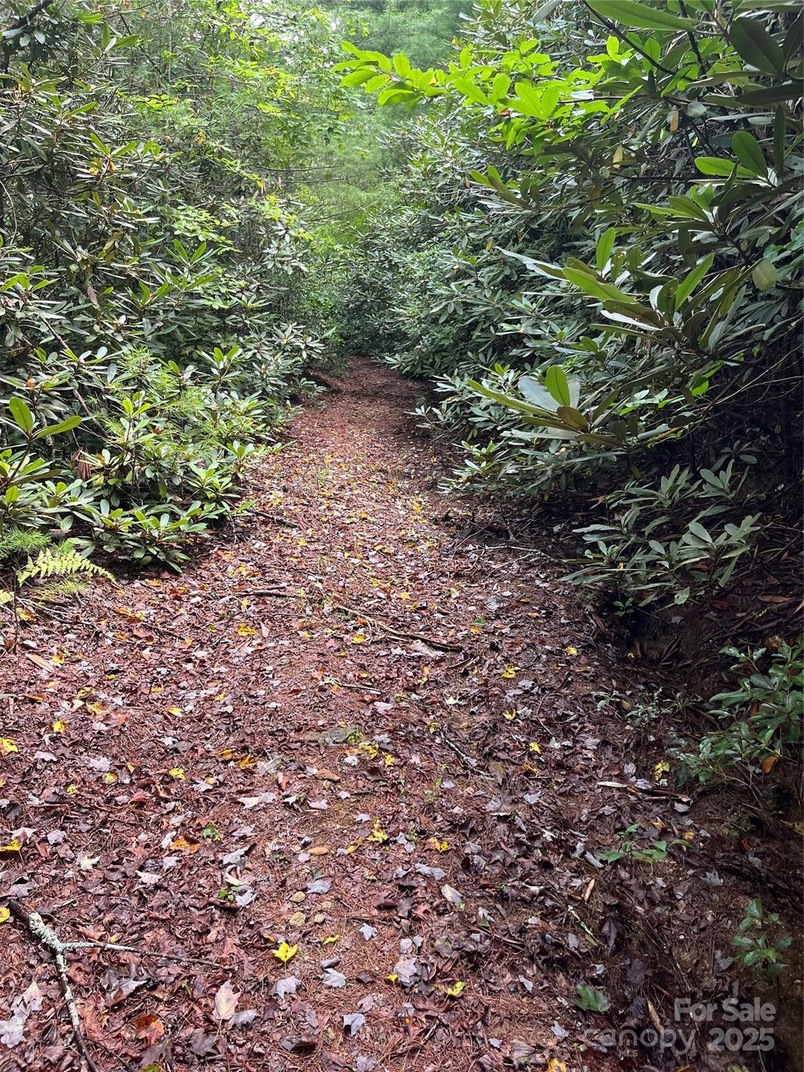 Tbd Normcol Road Property Photo 7