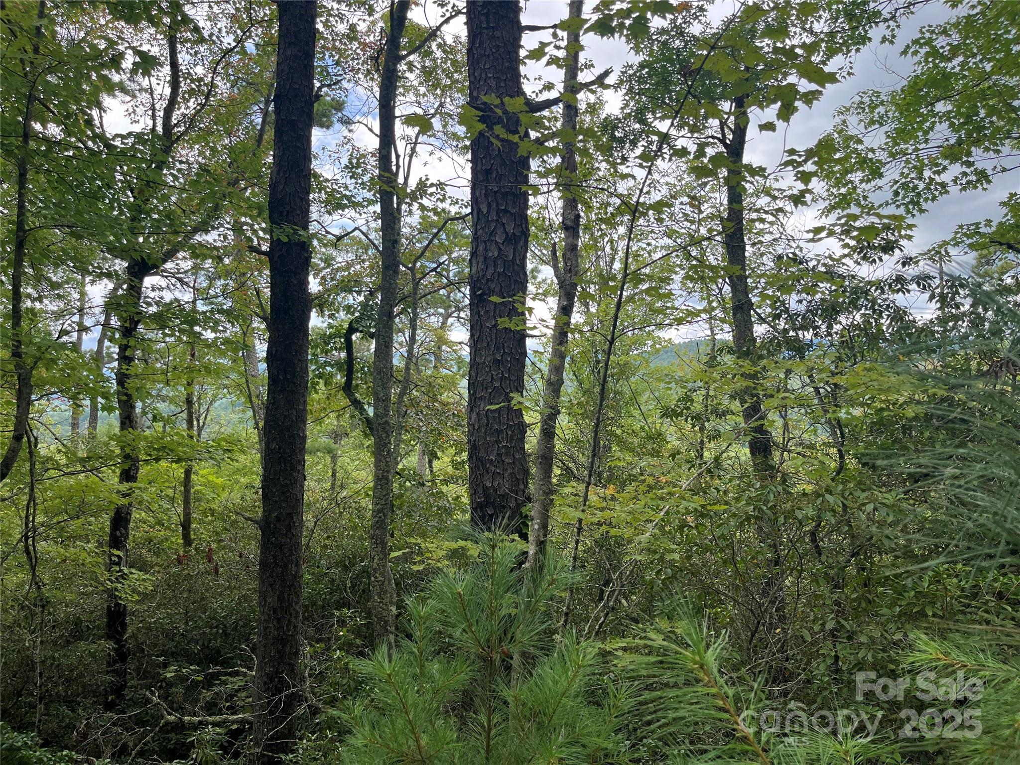 Tbd Normcol Road Property Photo 9