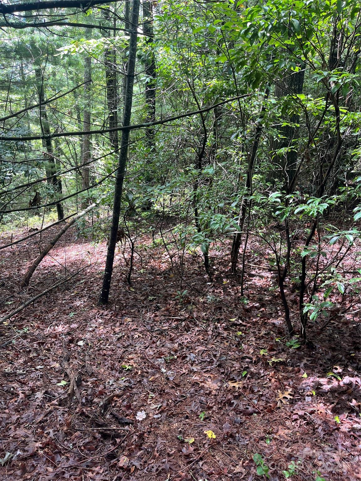 Tbd Normcol Road Property Photo 10