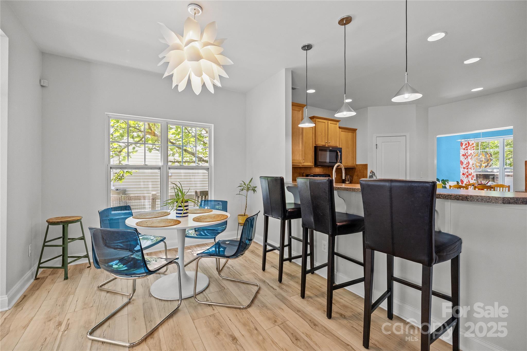 1010 Downing Court Property Photo 8