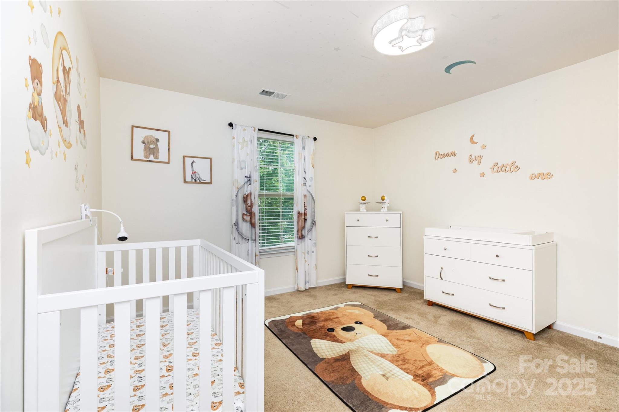 12822 Plumleaf Drive Property Photo 17