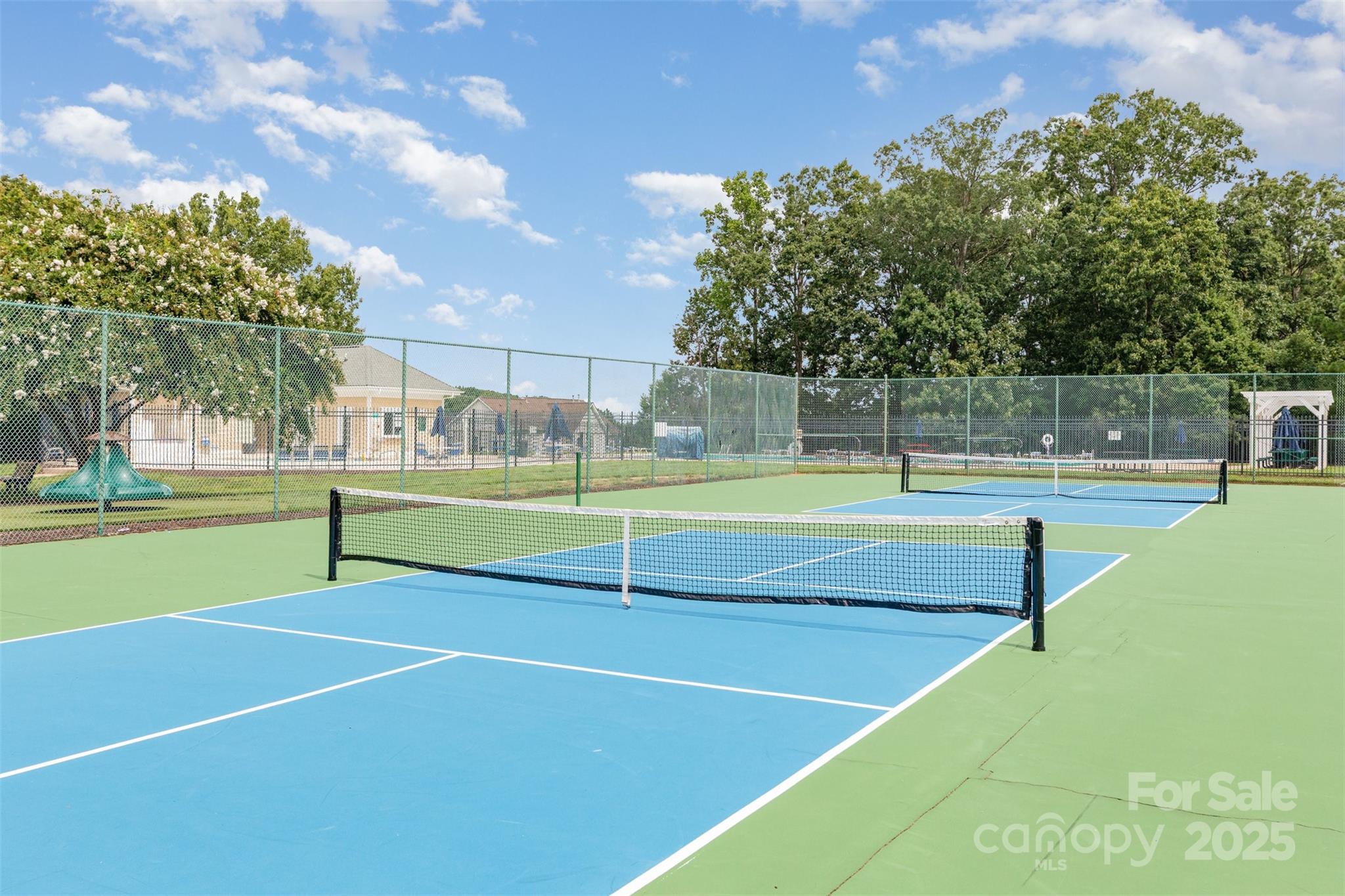 12822 Plumleaf Drive Property Photo 27