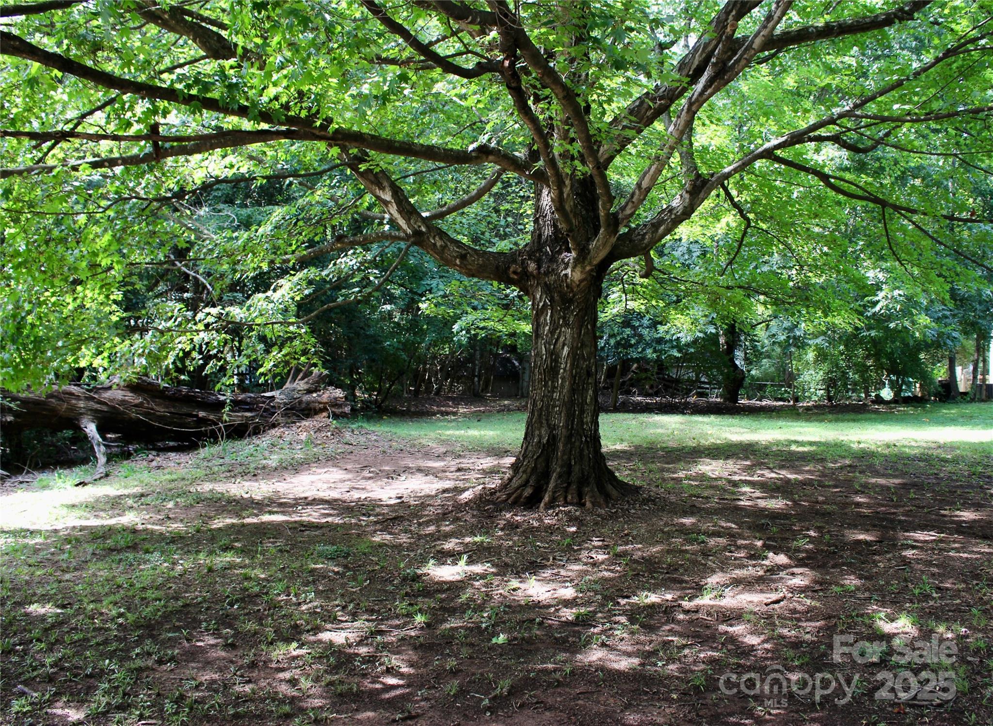 000 Sardis Road Alt Property Photo 1