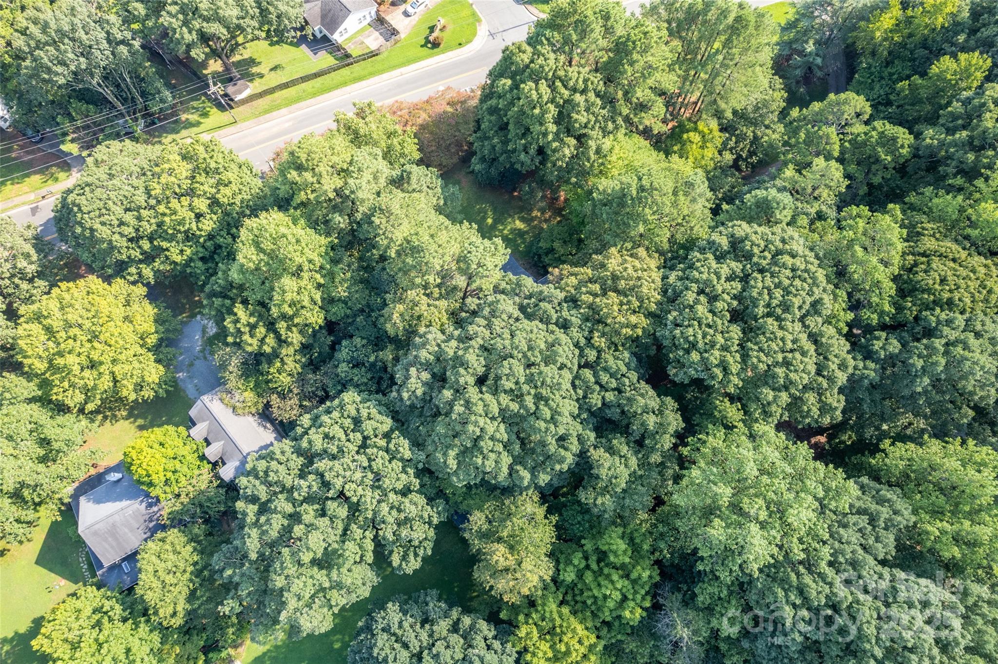 000 Sardis Road Alt Property Photo 3