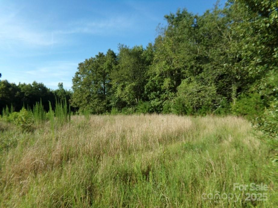 Lot 5 Painter Road Property Photo 3