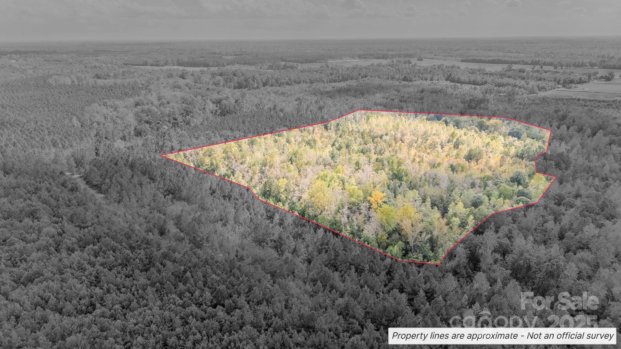 380 Harfam Road Property Photo 3