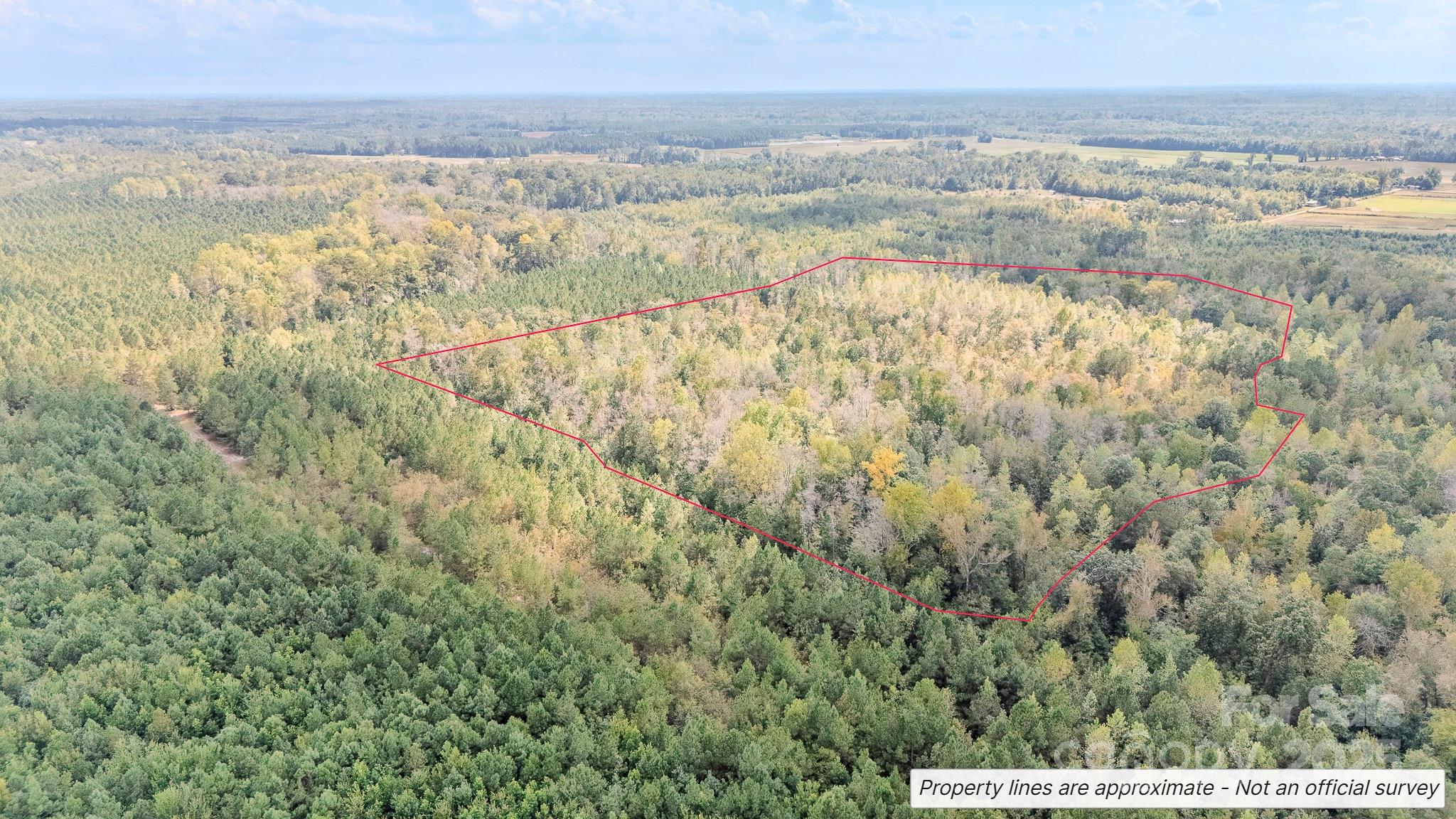 380 Harfam Road Property Photo 4
