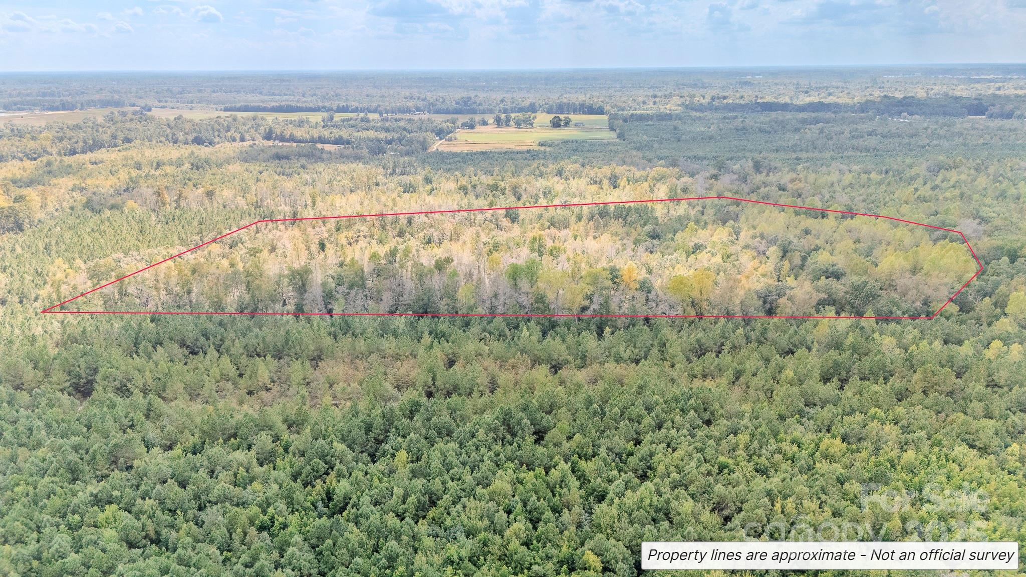 380 Harfam Road Property Photo 5