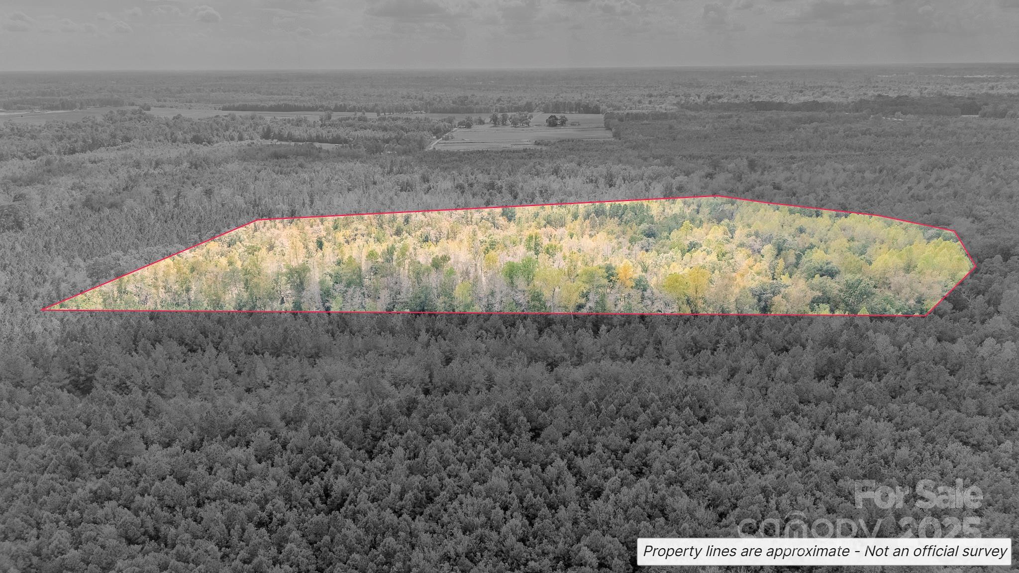 380 Harfam Road Property Photo 6