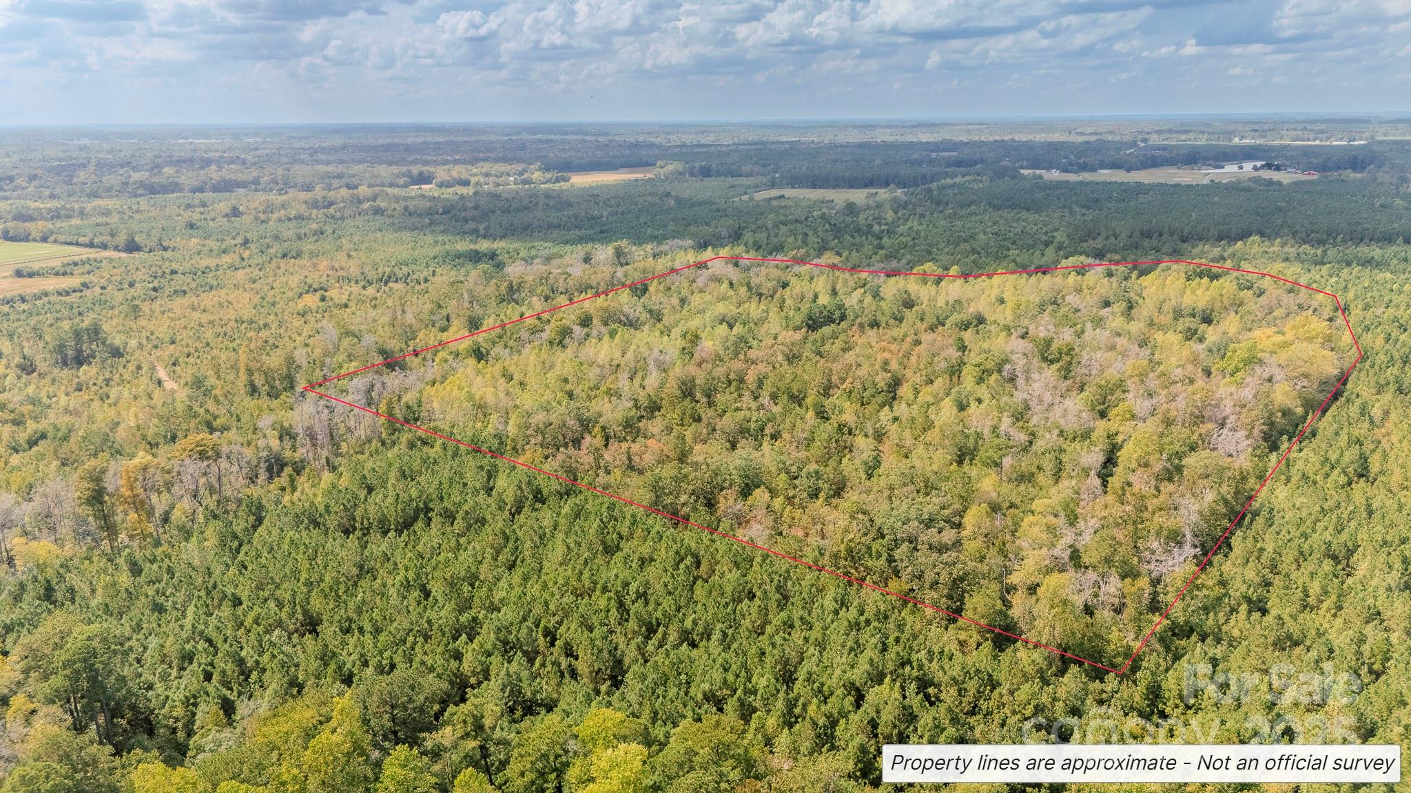 380 Harfam Road Property Photo 8