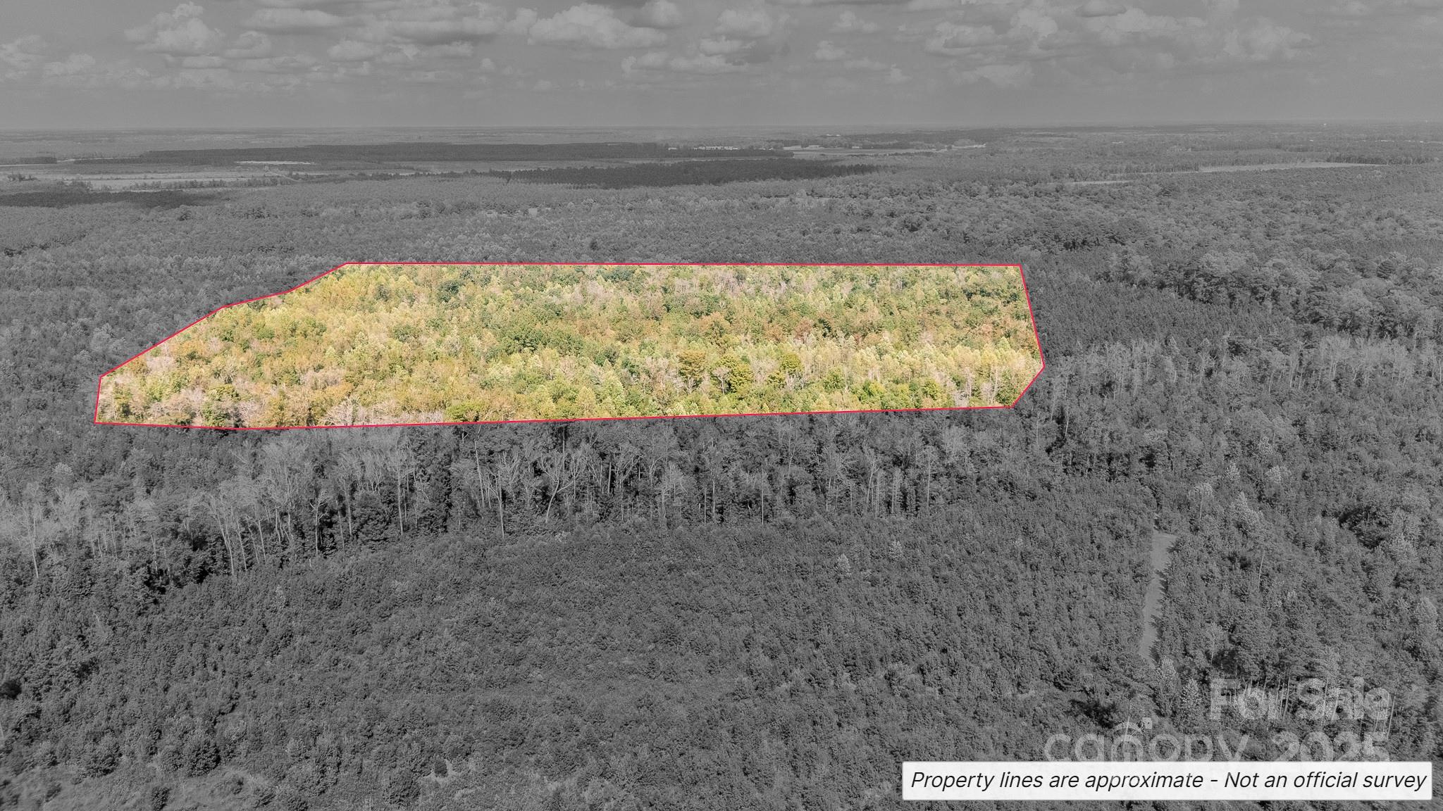 380 Harfam Road Property Photo 10