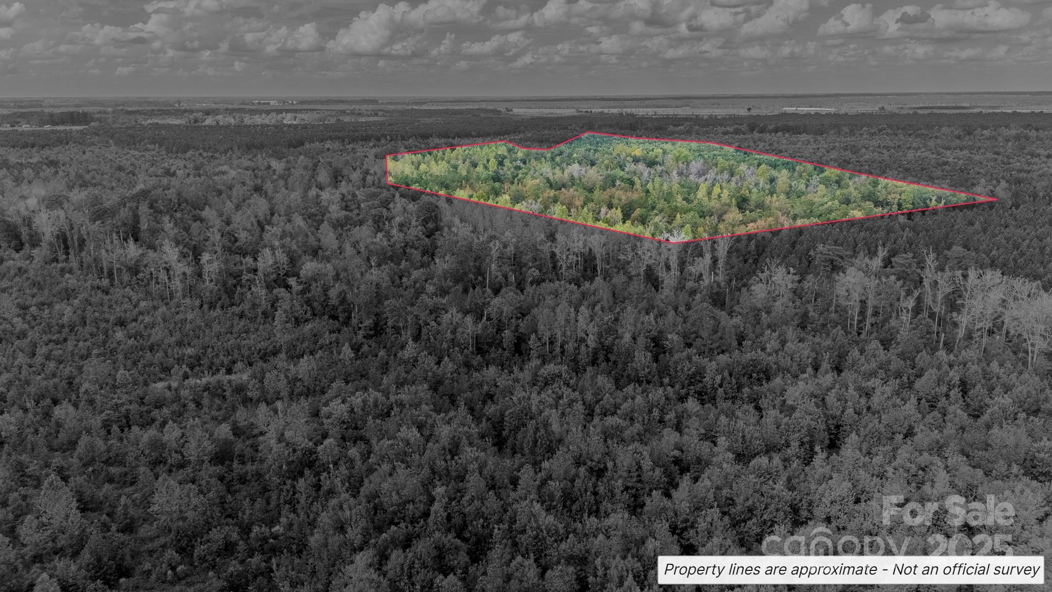 380 Harfam Road Property Photo 11