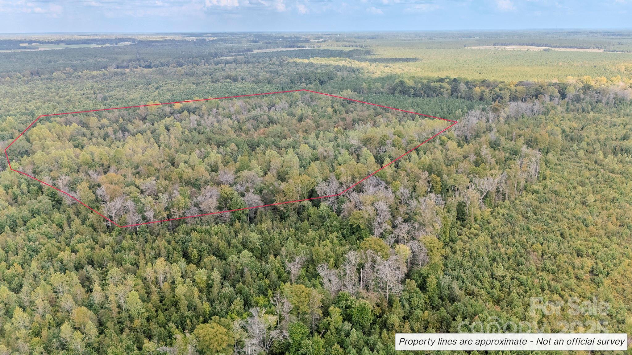 380 Harfam Road Property Photo 14