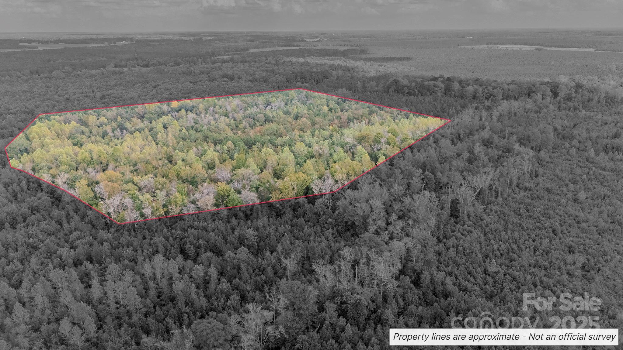 380 Harfam Road Property Photo 15