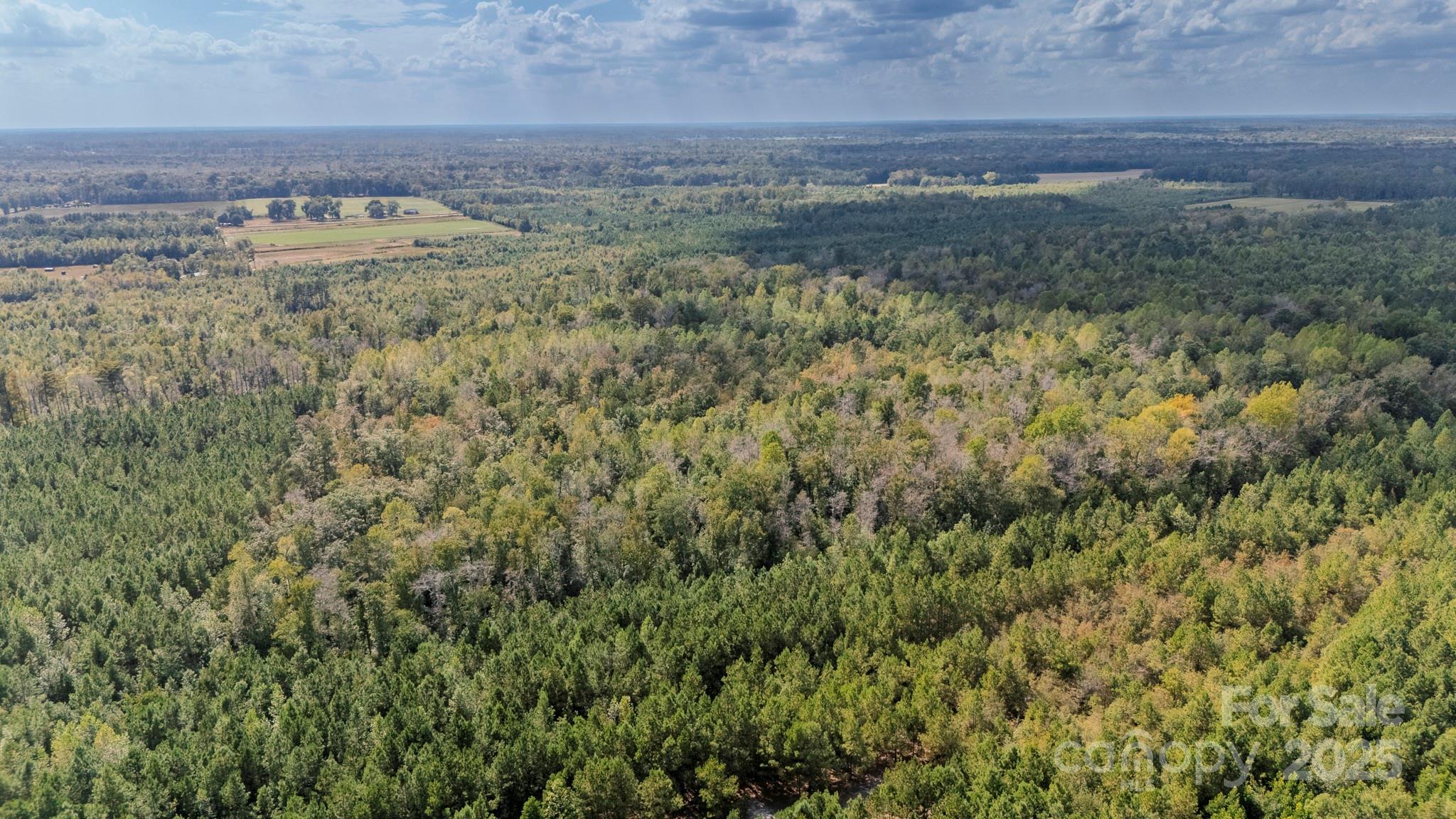 380 Harfam Road Property Photo 25