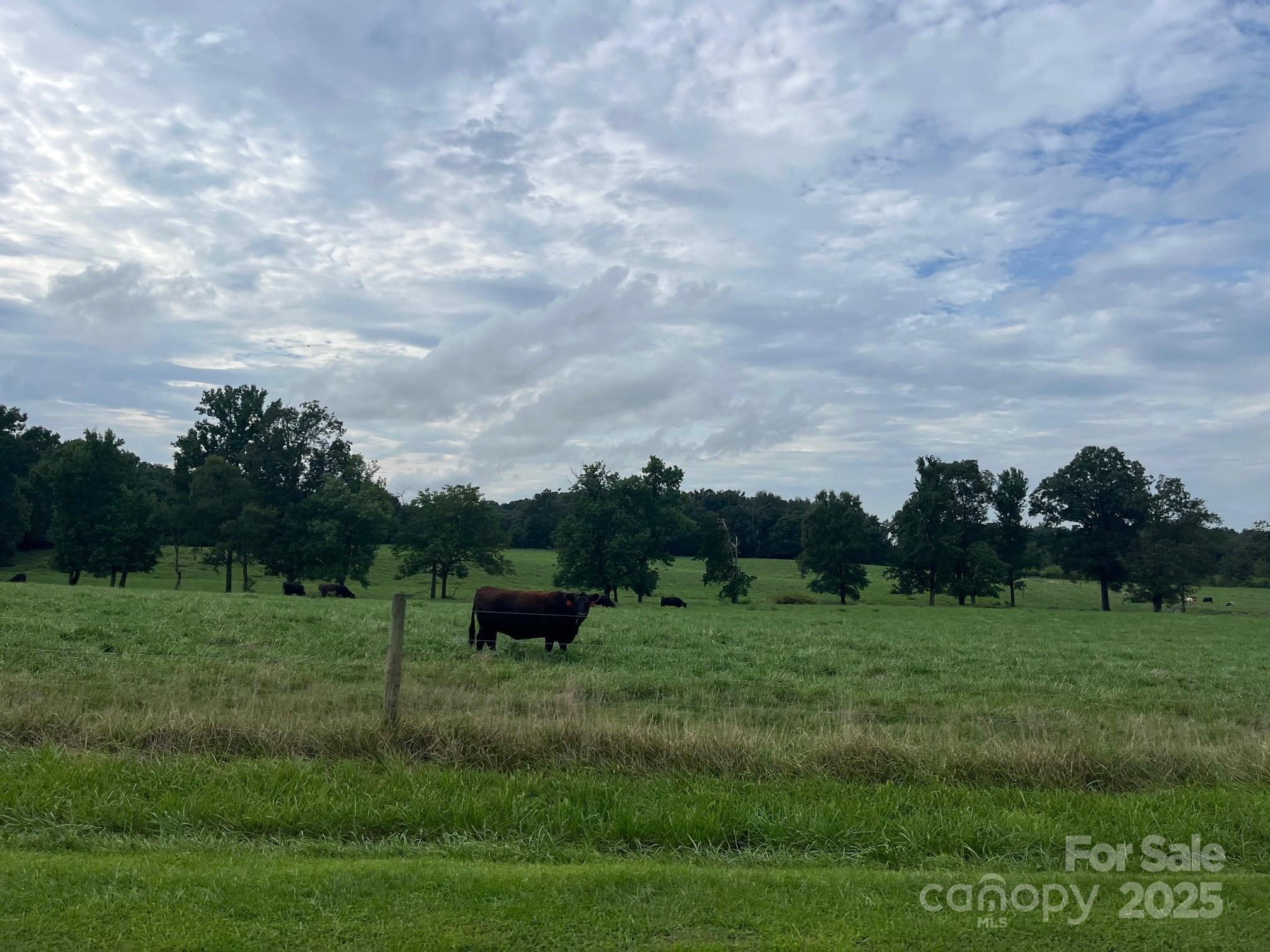 00 Thanny Helms Road Property Photo 6