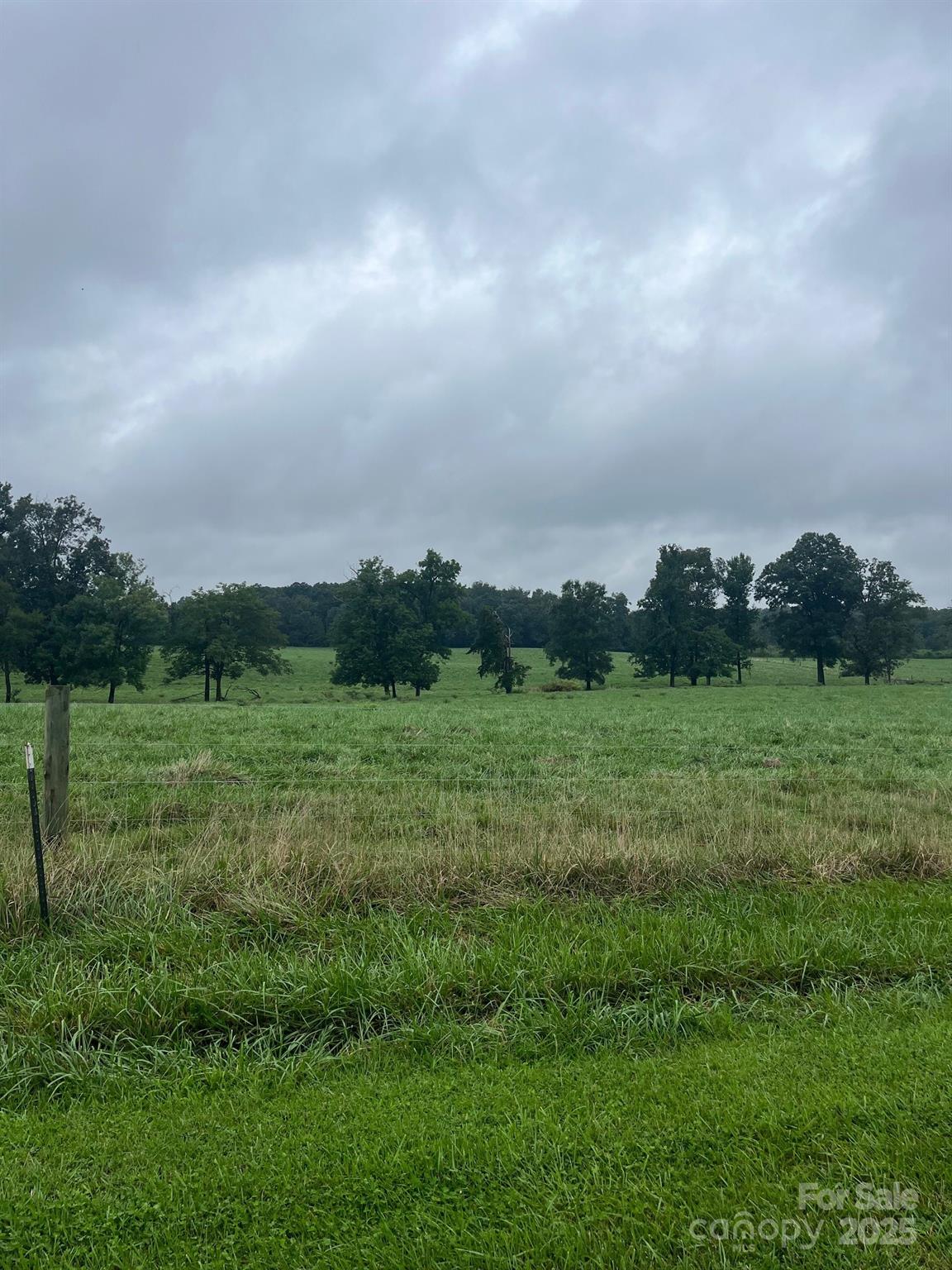 00 Thanny Helms Road Property Photo 9