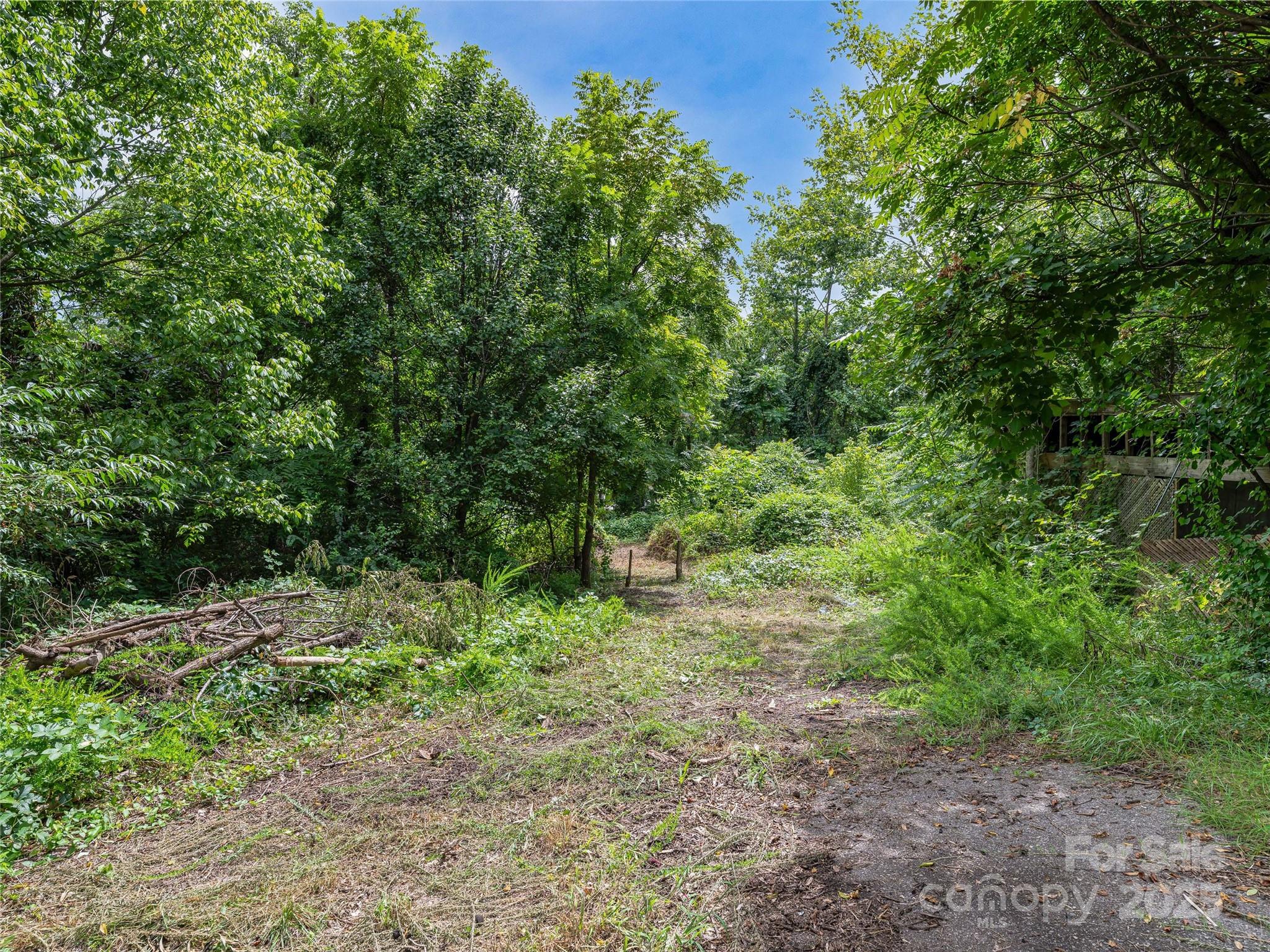 220, 226 & 99999 Hazel Mill Road Property Photo 18