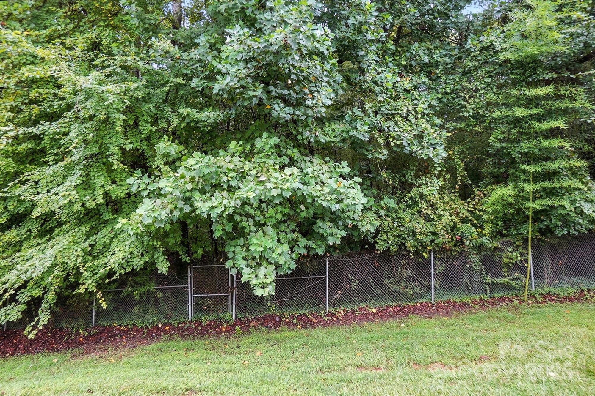 1101 Surry Lane Property Photo 25