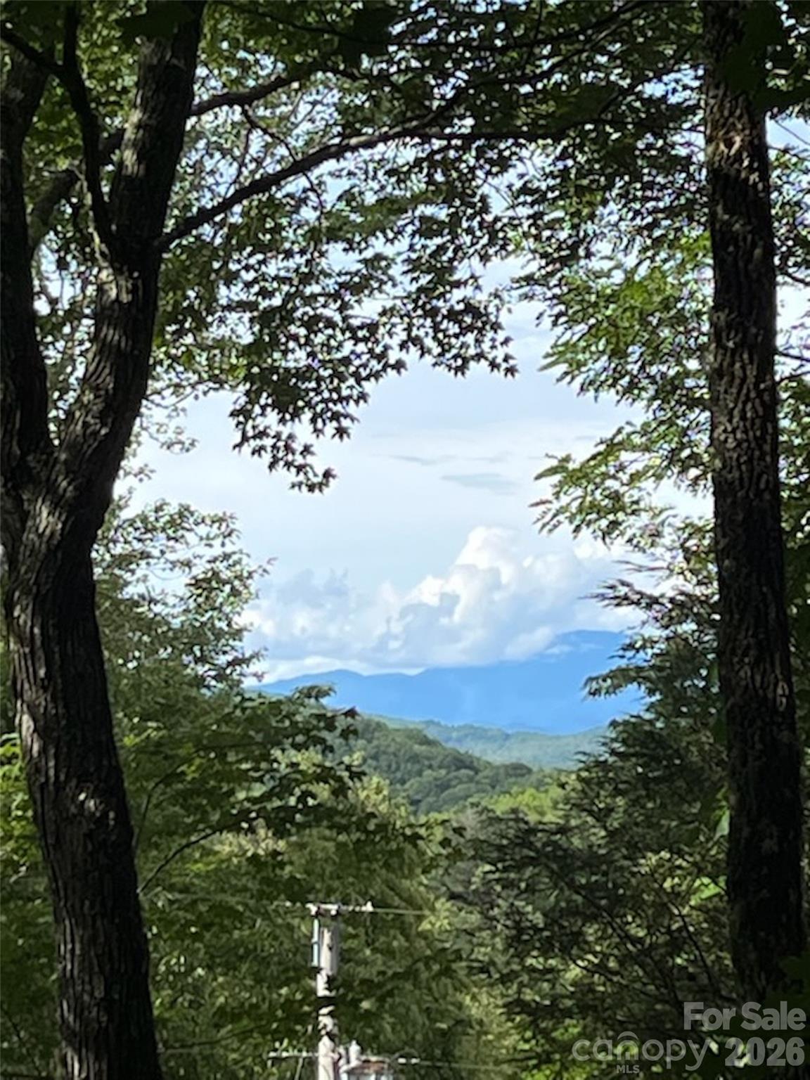 19 High Terrain Drive Property Photo 4