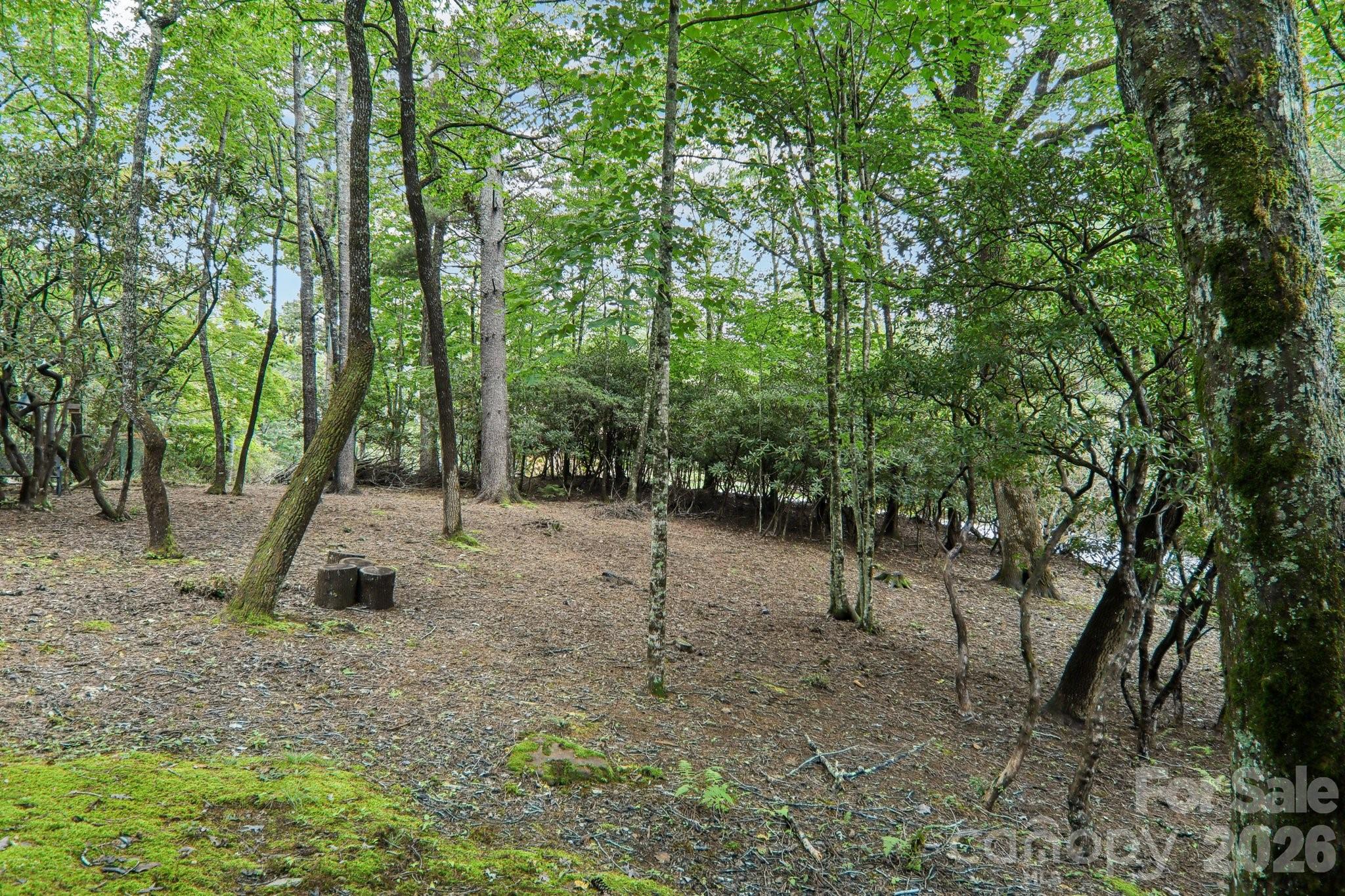 19 High Terrain Drive Property Photo 44