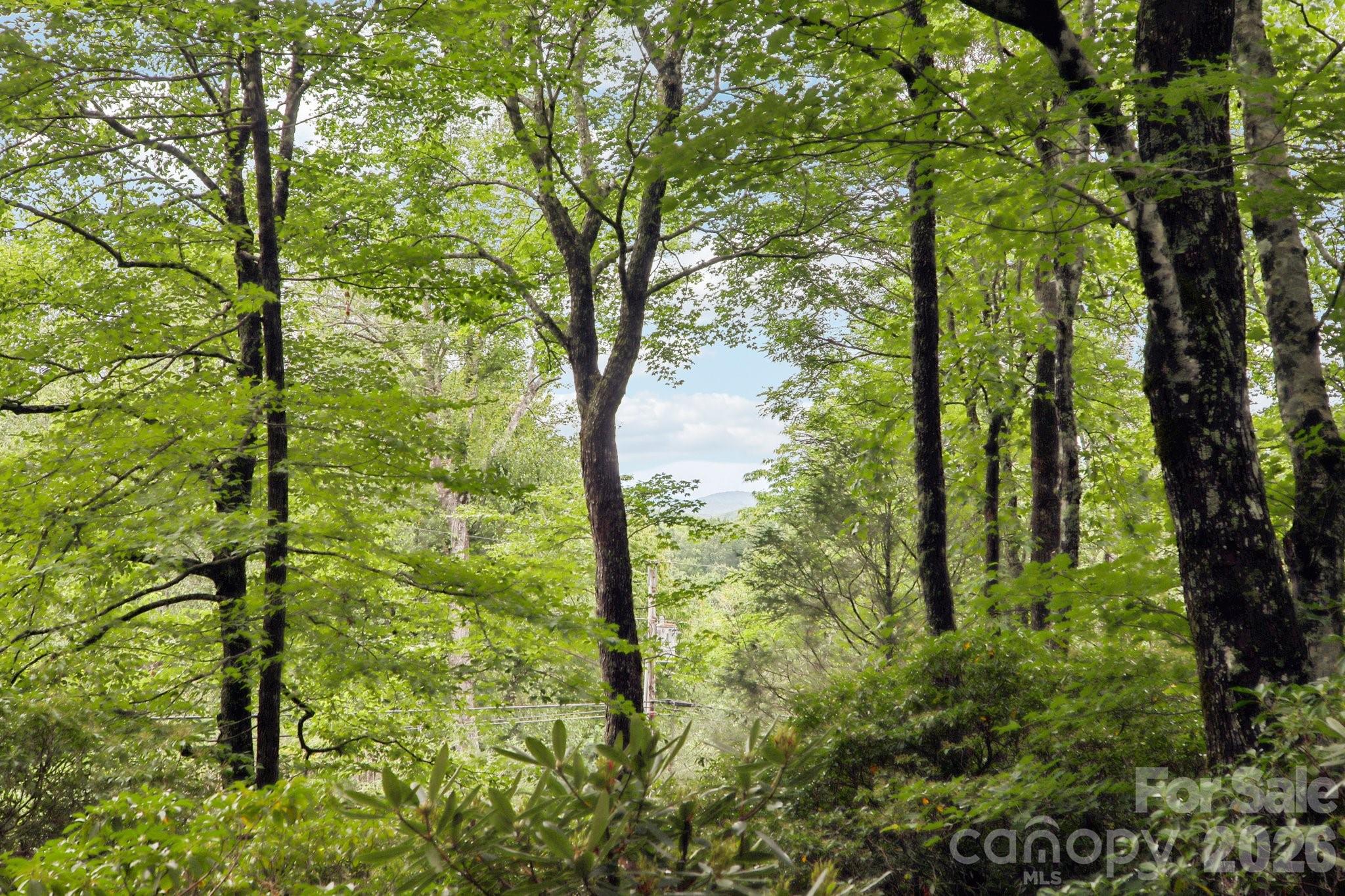 19 High Terrain Drive Property Photo 45