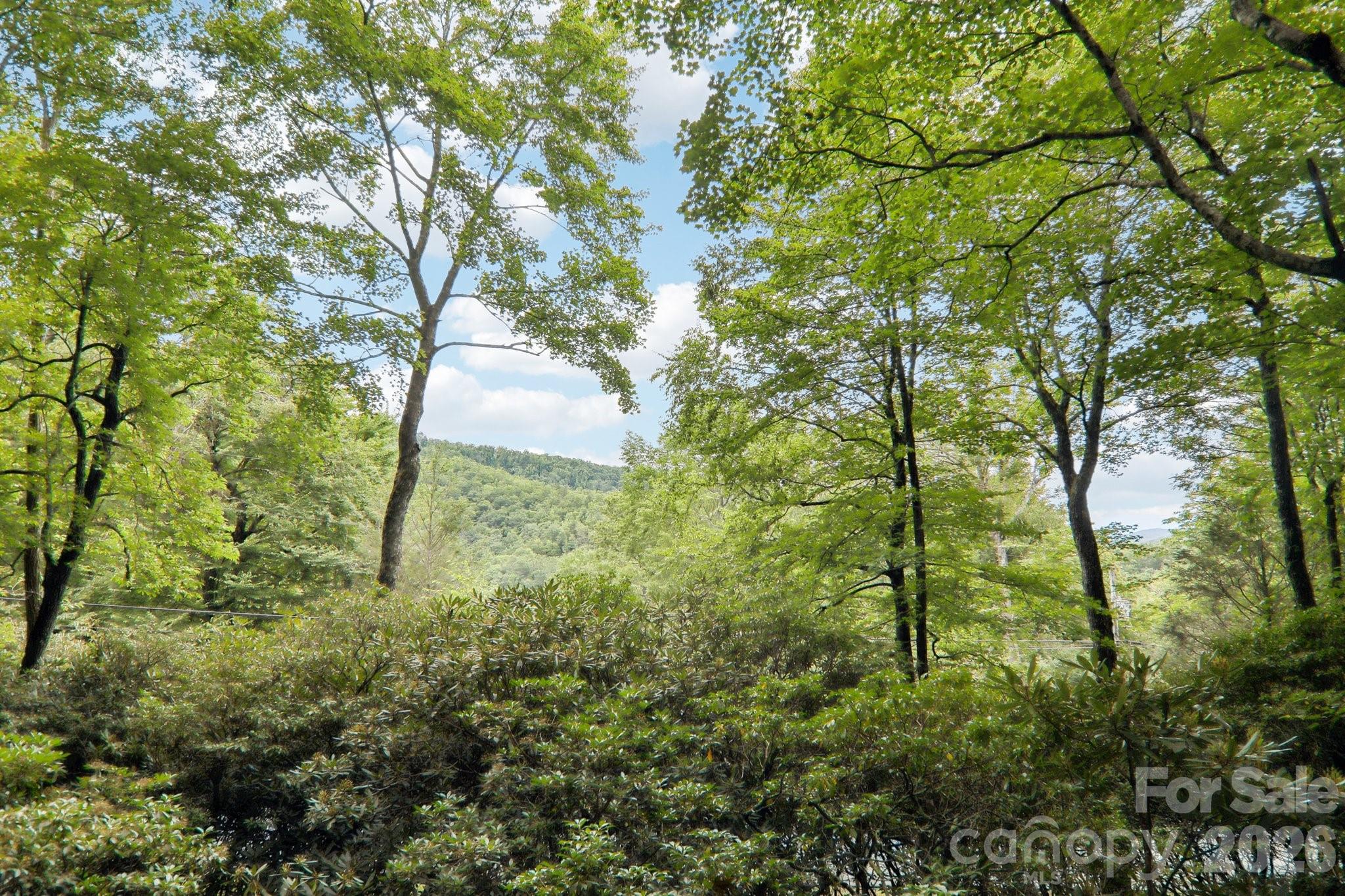 19 High Terrain Drive Property Photo 46