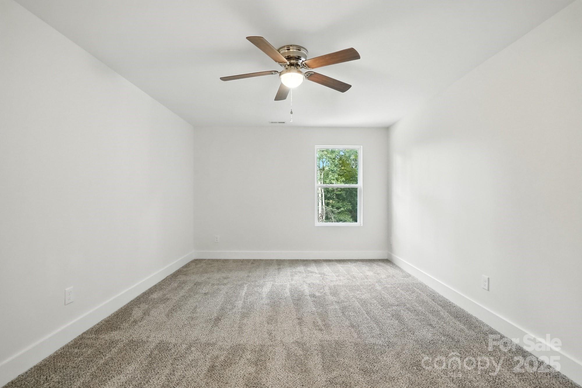 103 Wilson Street Property Photo 18