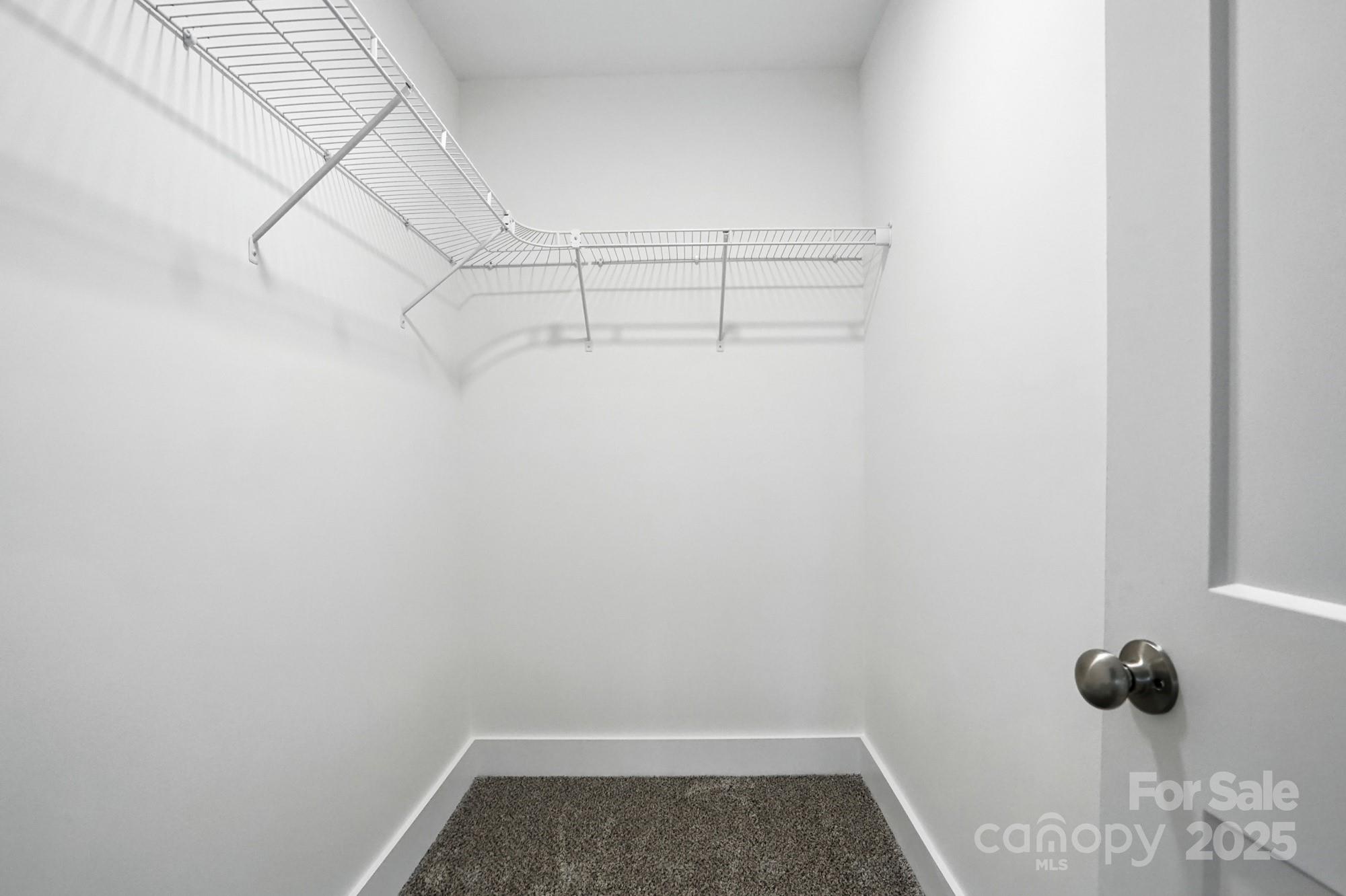 103 Wilson Street Property Photo 23