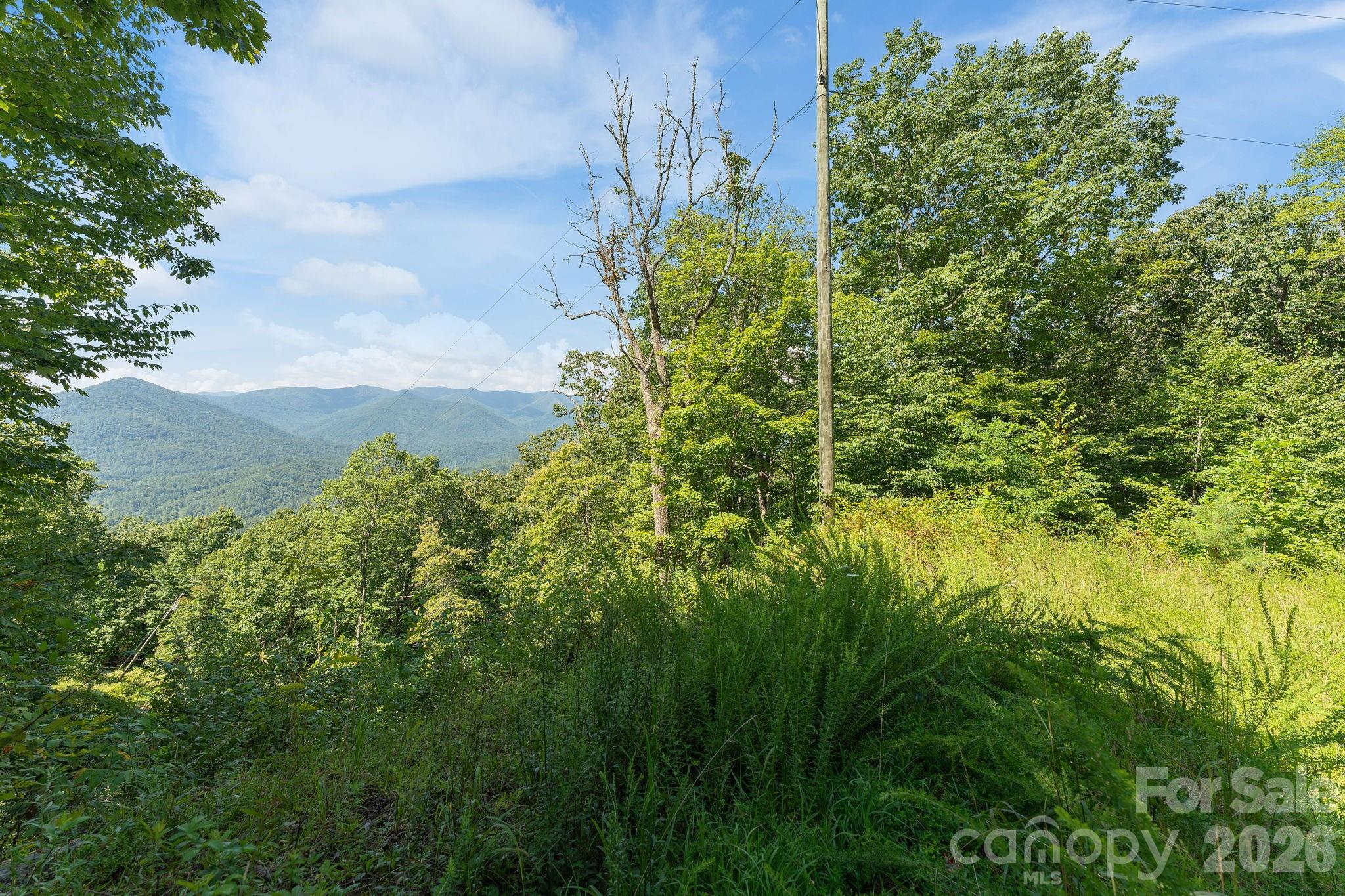 80 Breezewood Drive Property Photo 1