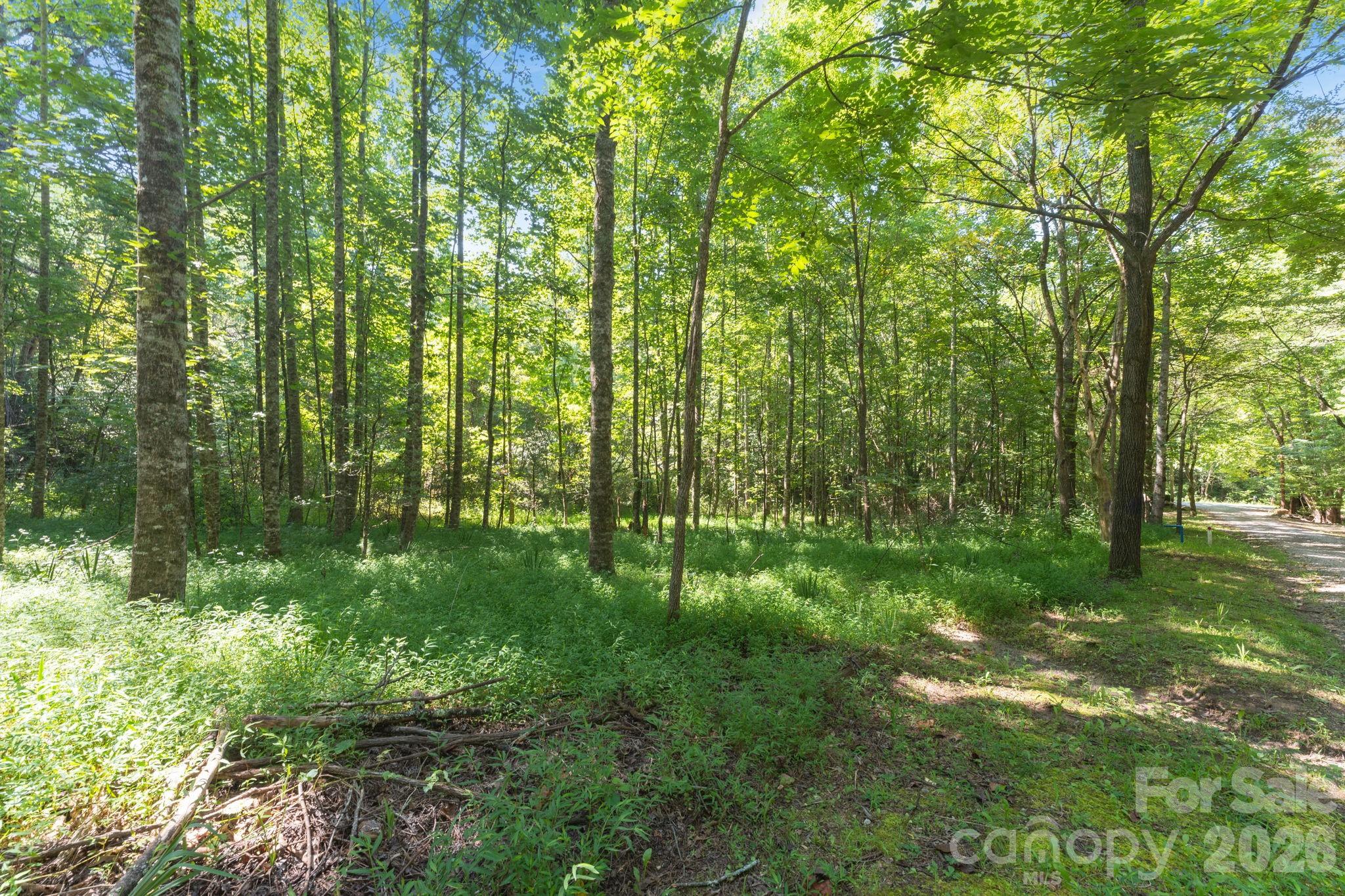 80 Breezewood Drive Property Photo 2