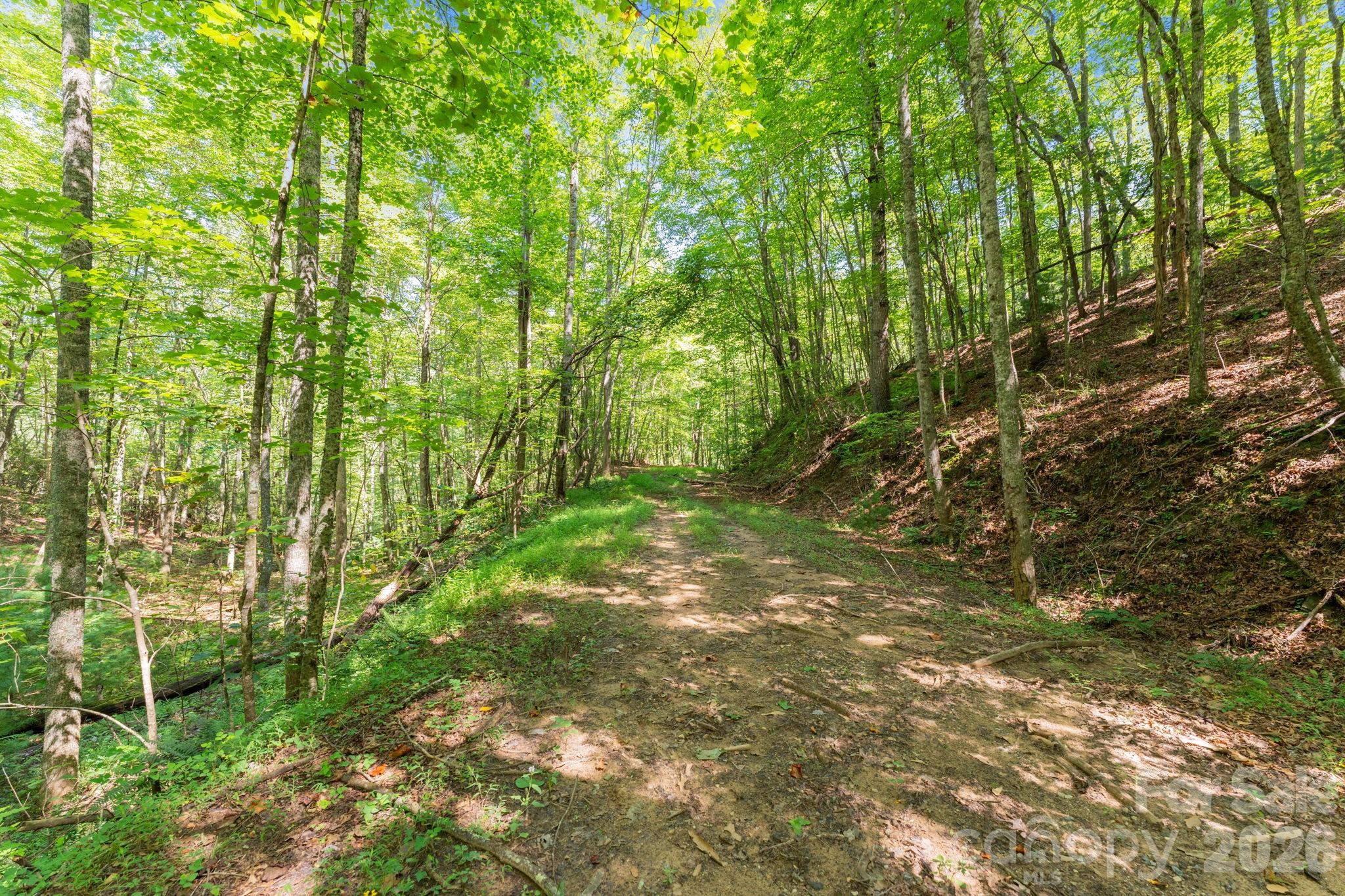 80 Breezewood Drive Property Photo 3