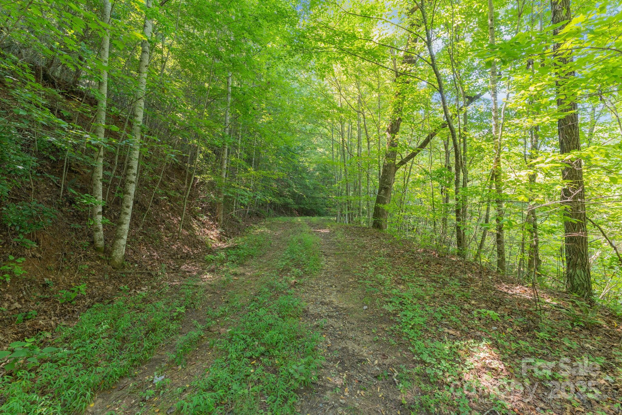 80 Breezewood Drive Property Photo 4