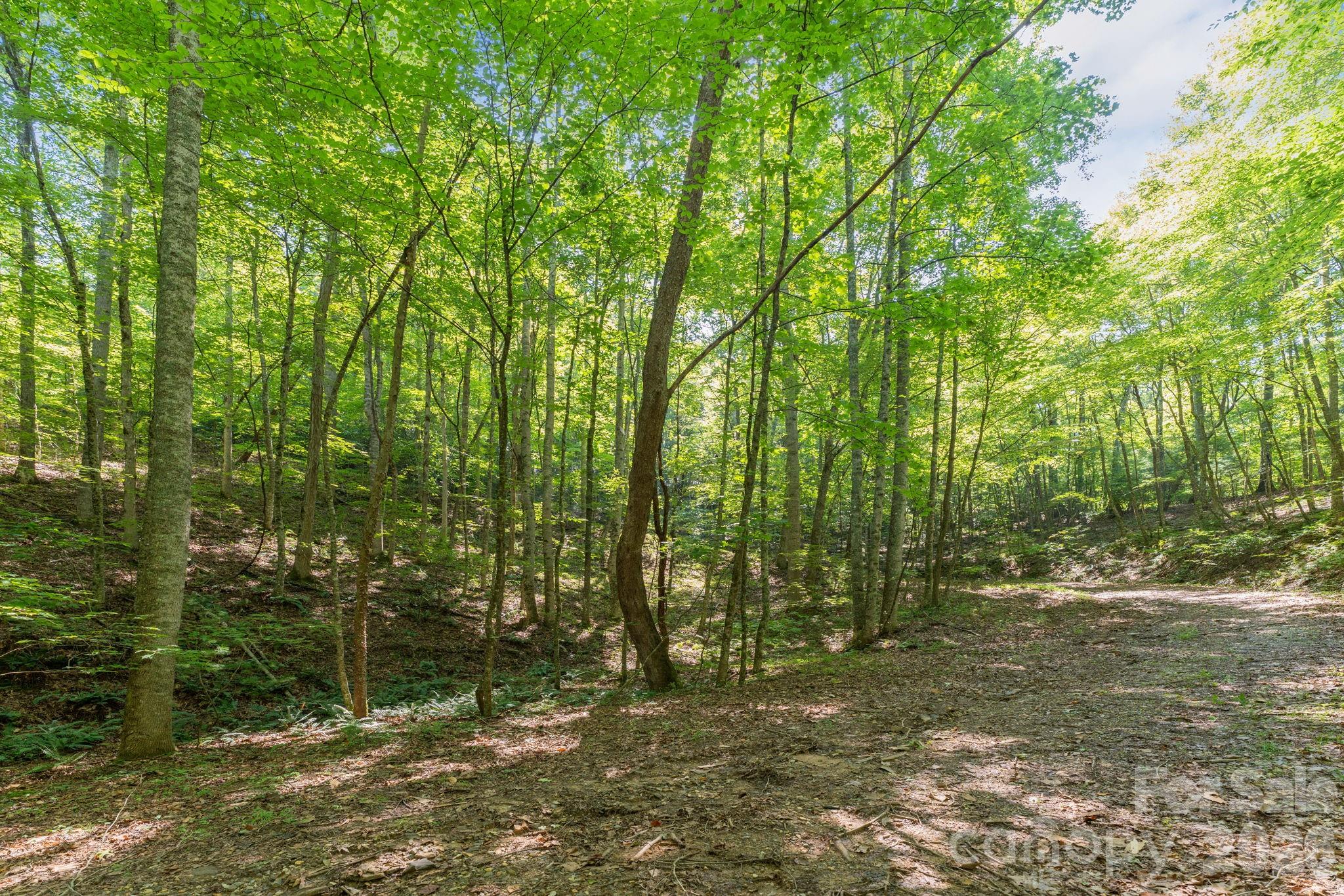 80 Breezewood Drive Property Photo 4