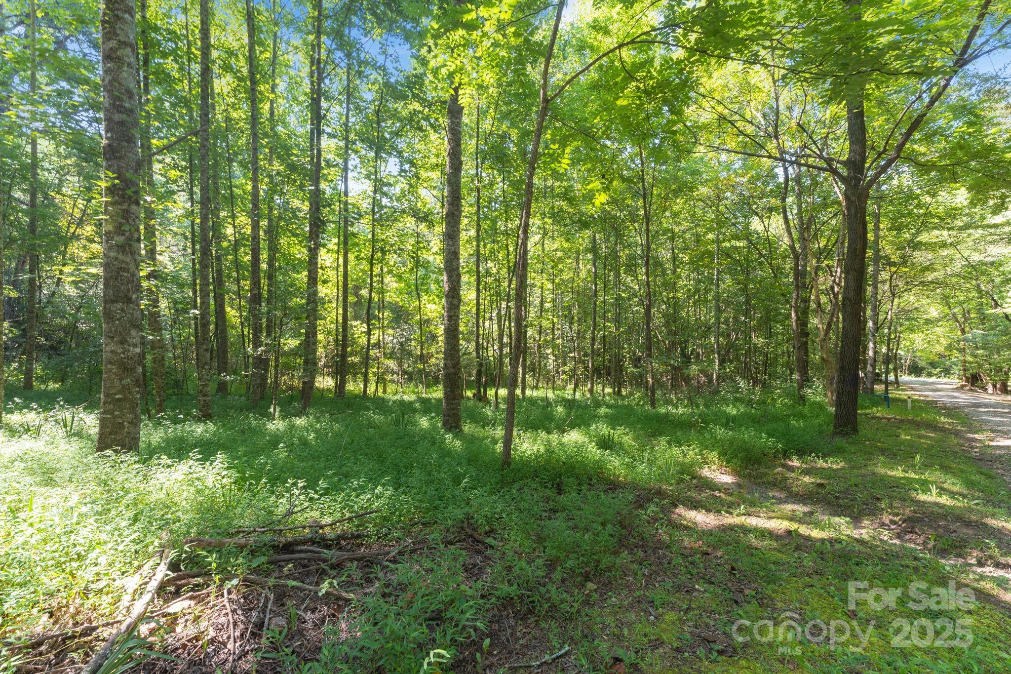 80 Breezewood Drive Property Photo 5