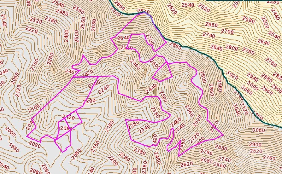 80 Breezewood Drive Property Photo 6