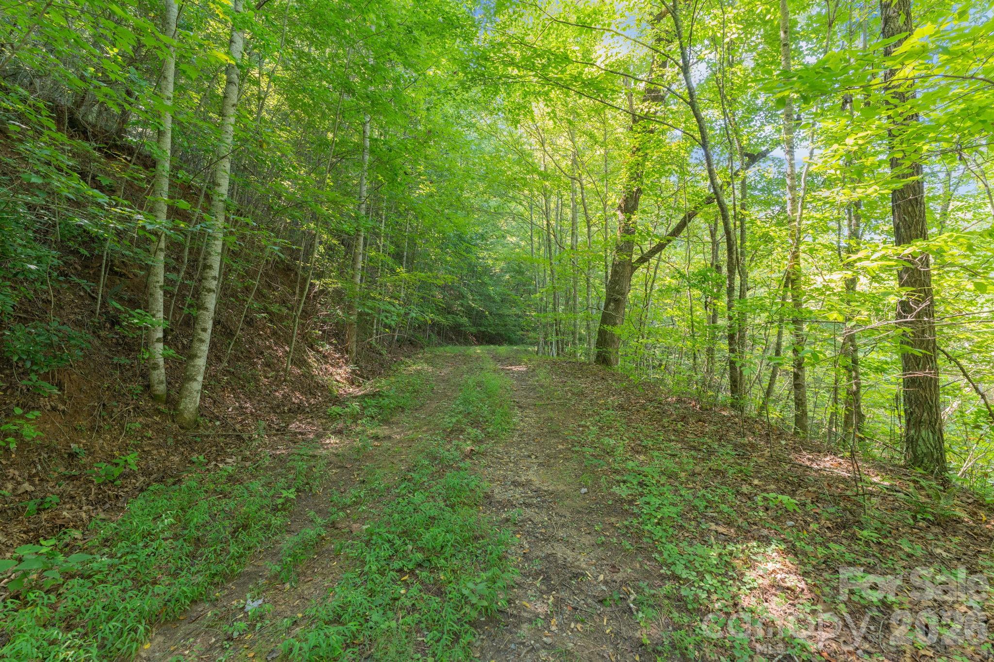 80 Breezewood Drive Property Photo 6