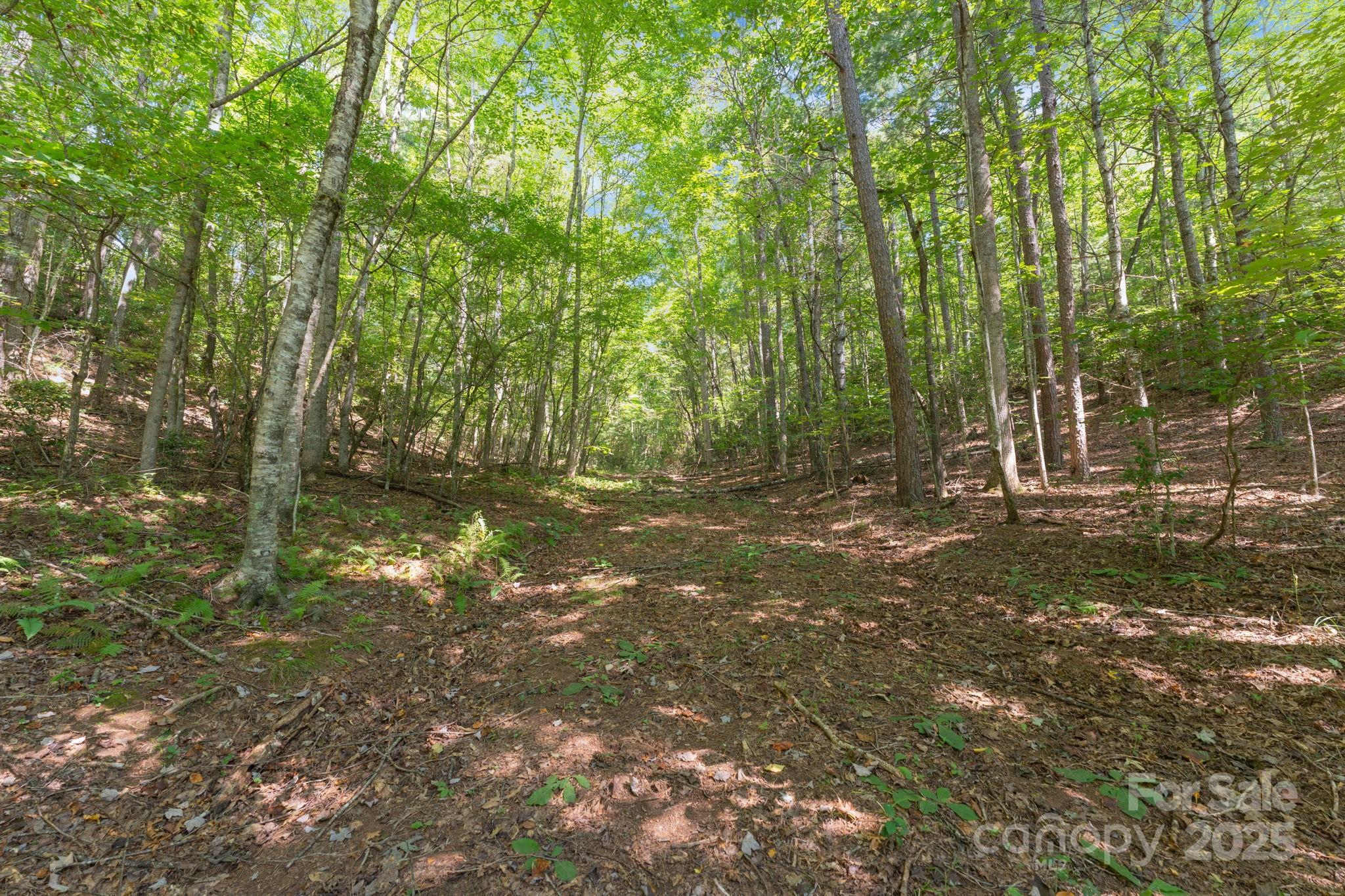 80 Breezewood Drive Property Photo 8