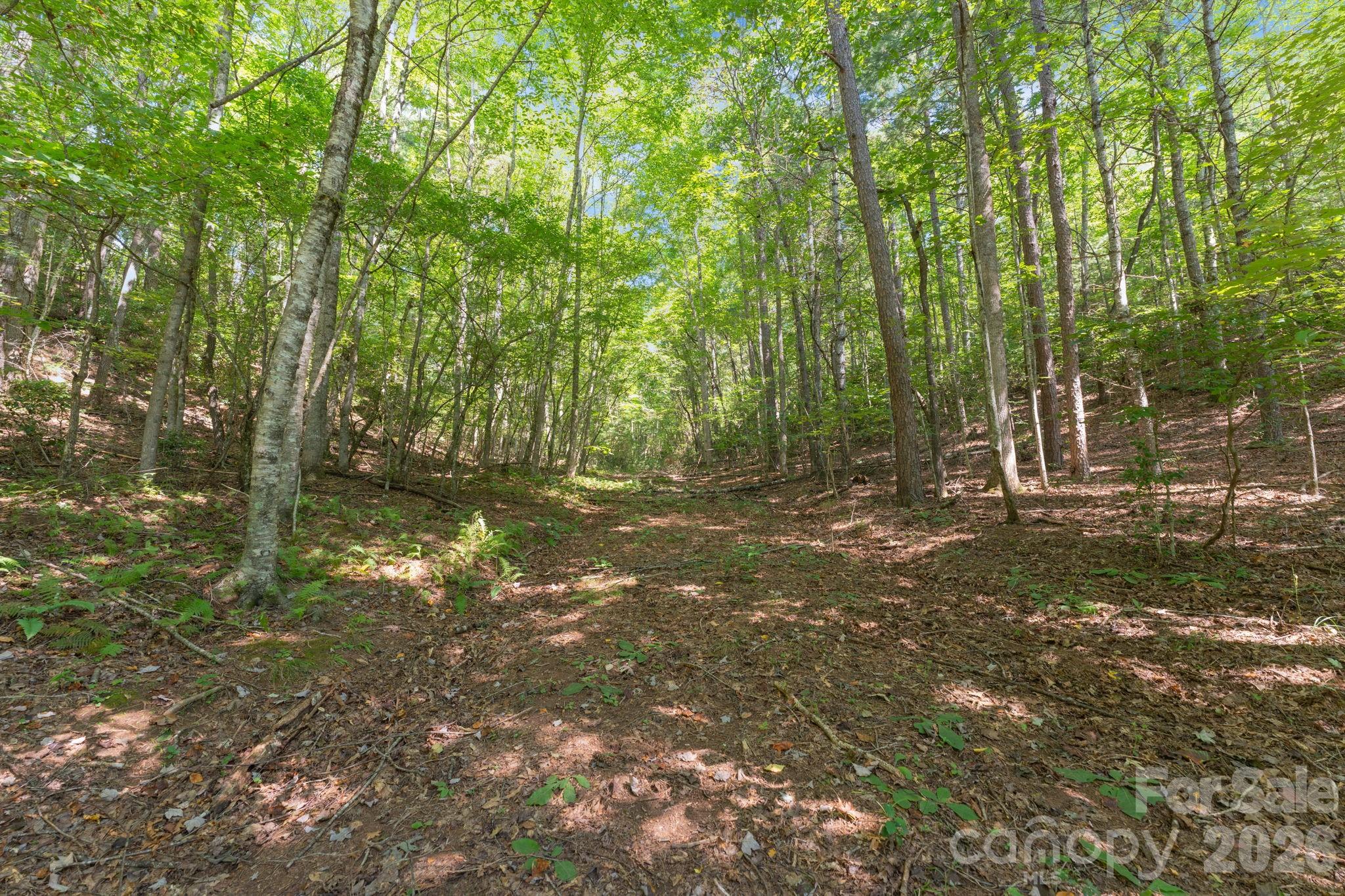 80 Breezewood Drive Property Photo 8