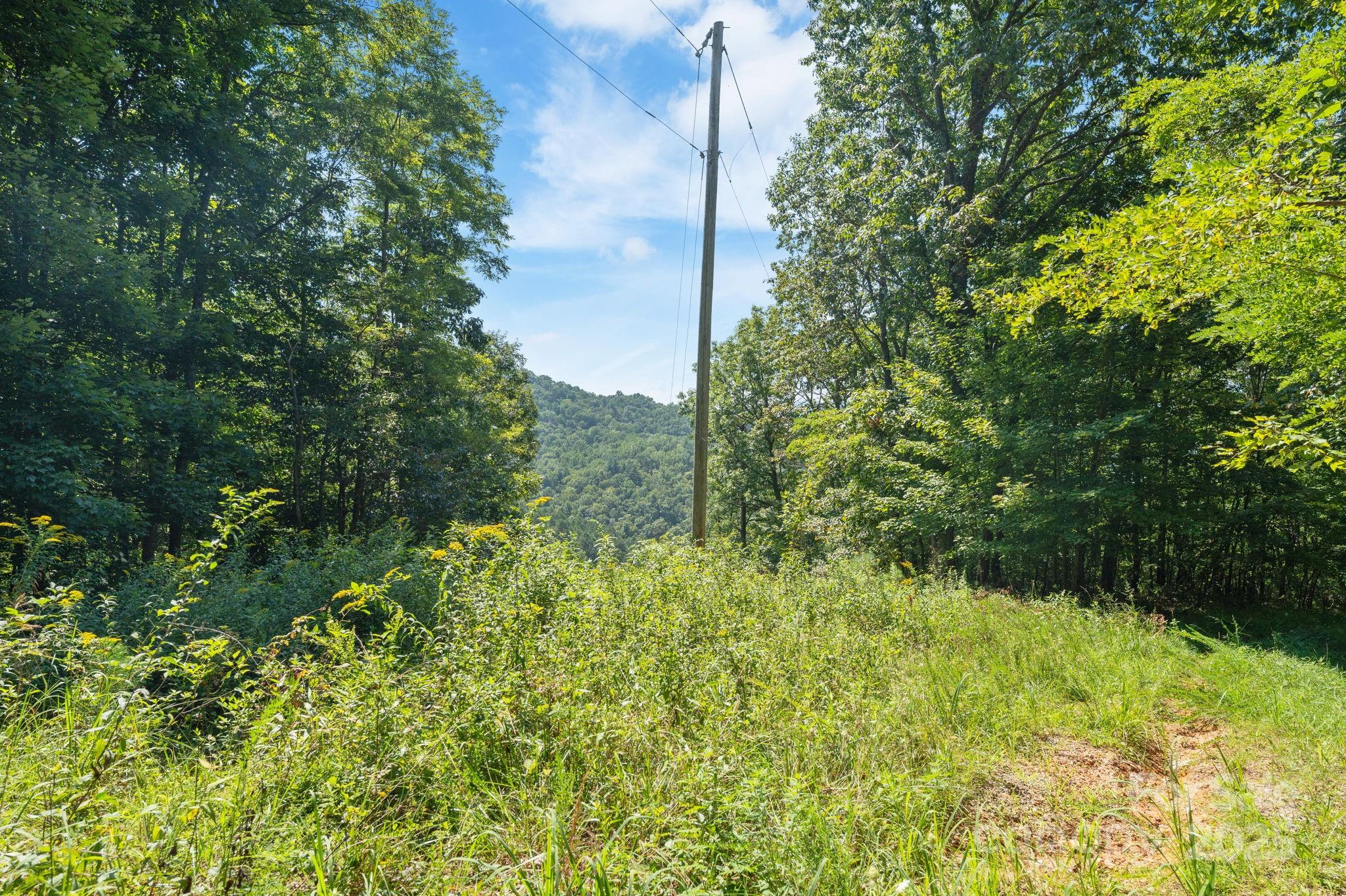 80 Breezewood Drive Property Photo 9