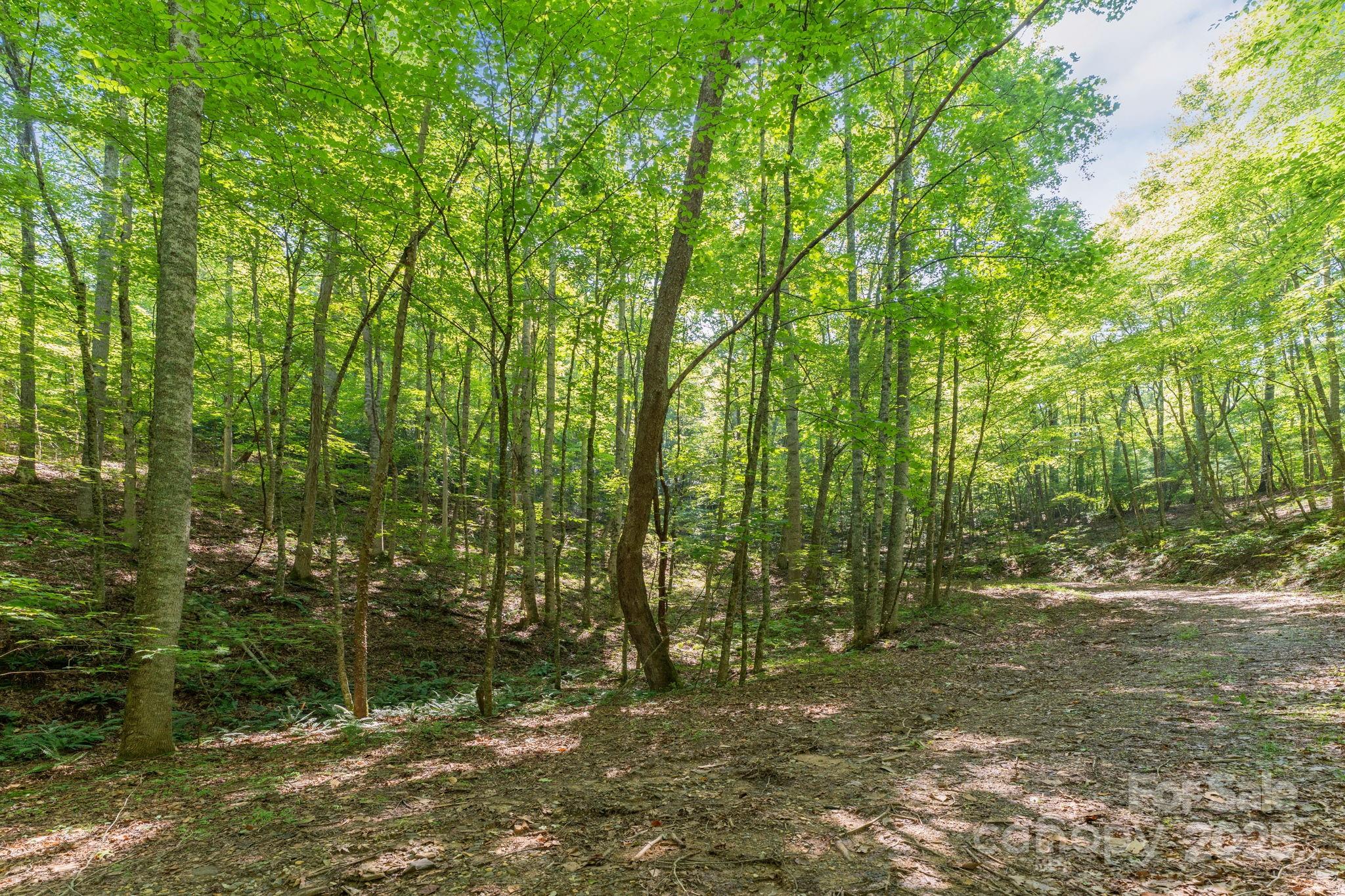 80 Breezewood Drive Property Photo 10