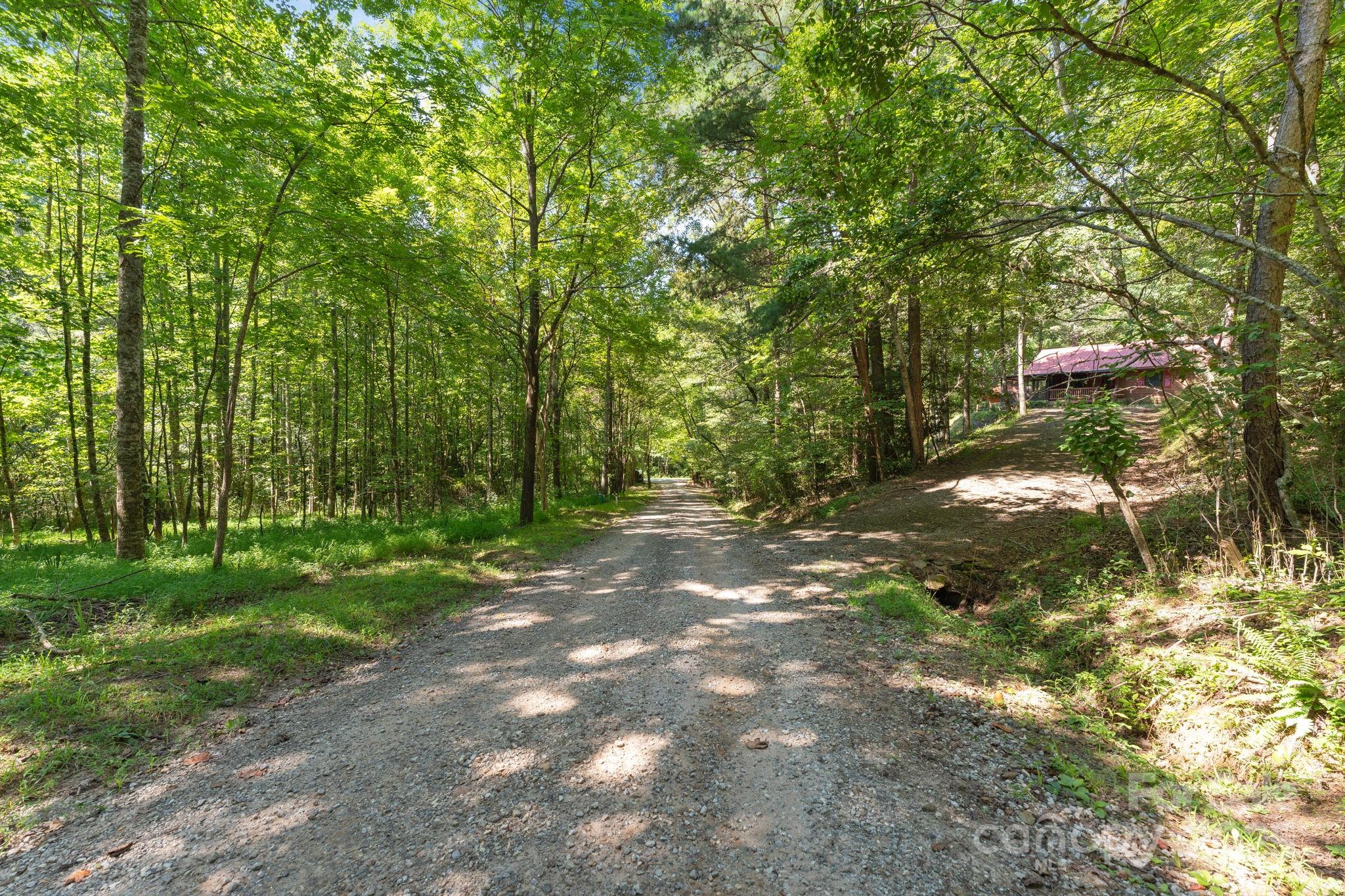 80 Breezewood Drive Property Photo 11