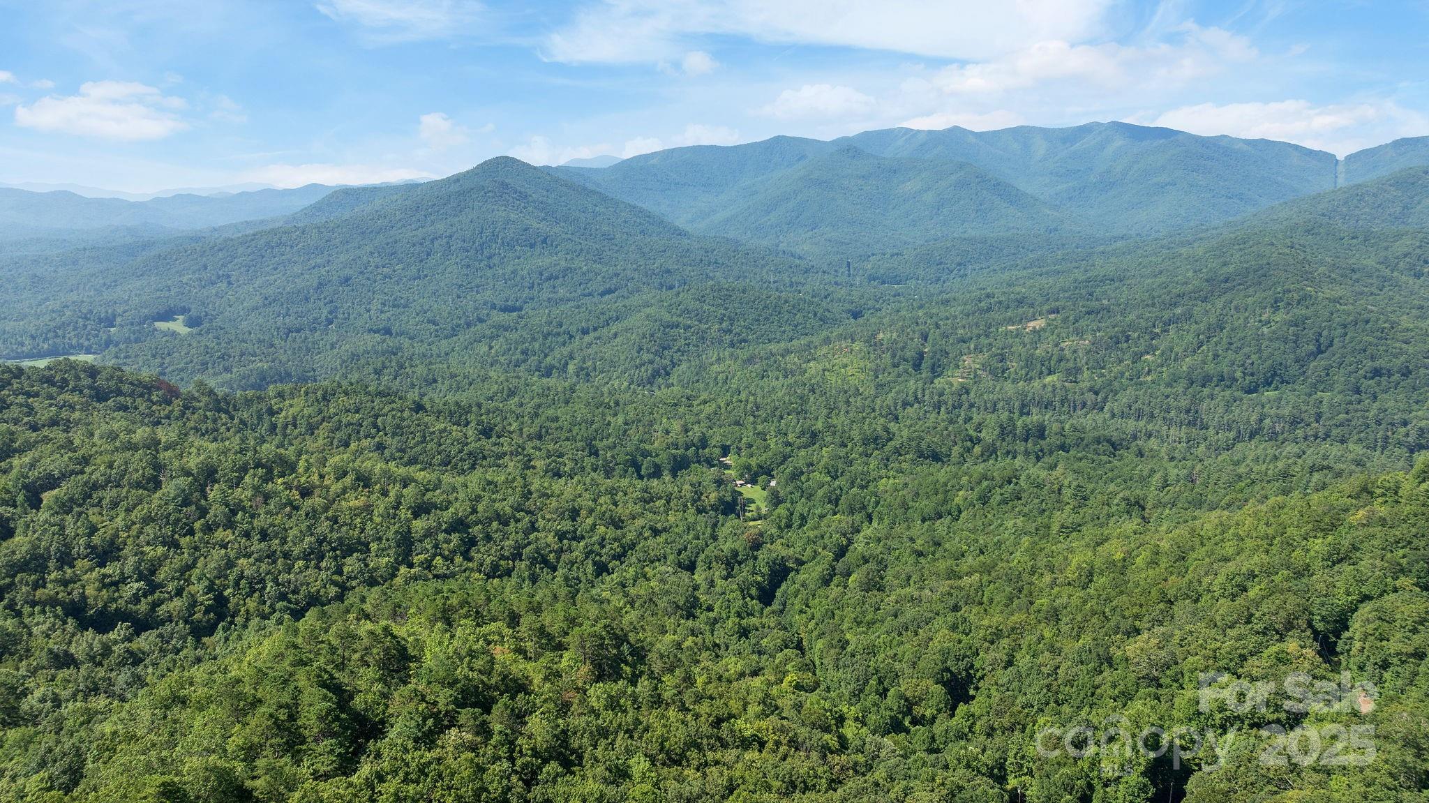 80 Breezewood Drive Property Photo 12