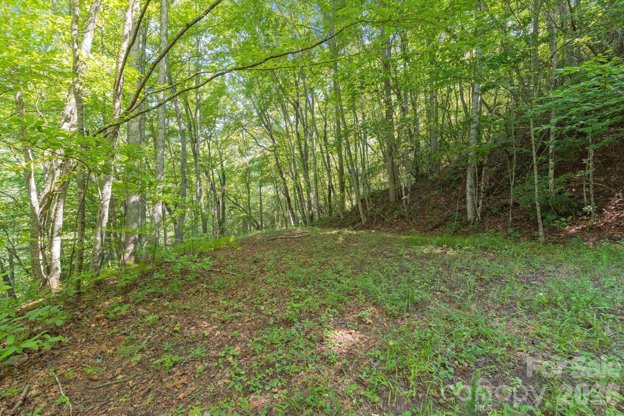 80 Breezewood Drive Property Photo 13