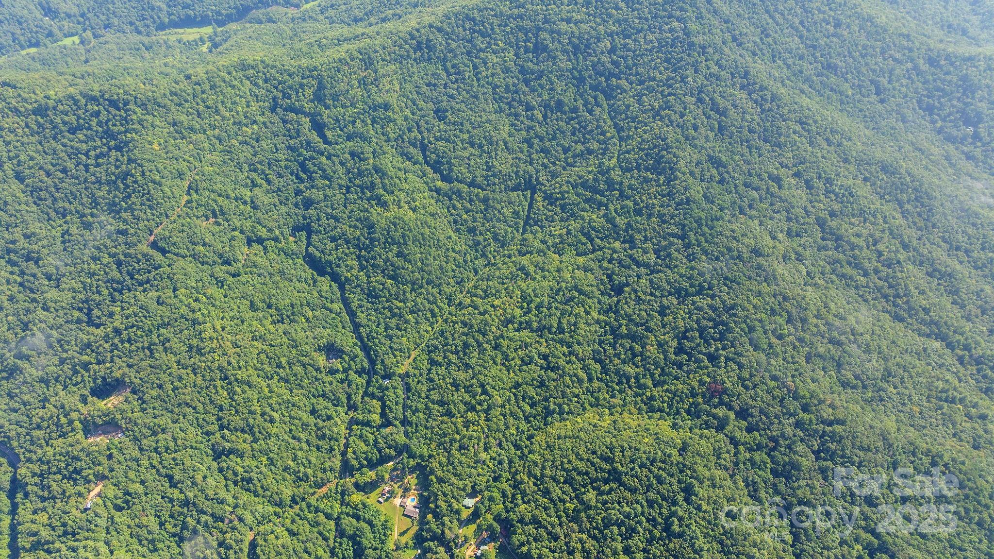 80 Breezewood Drive Property Photo 17