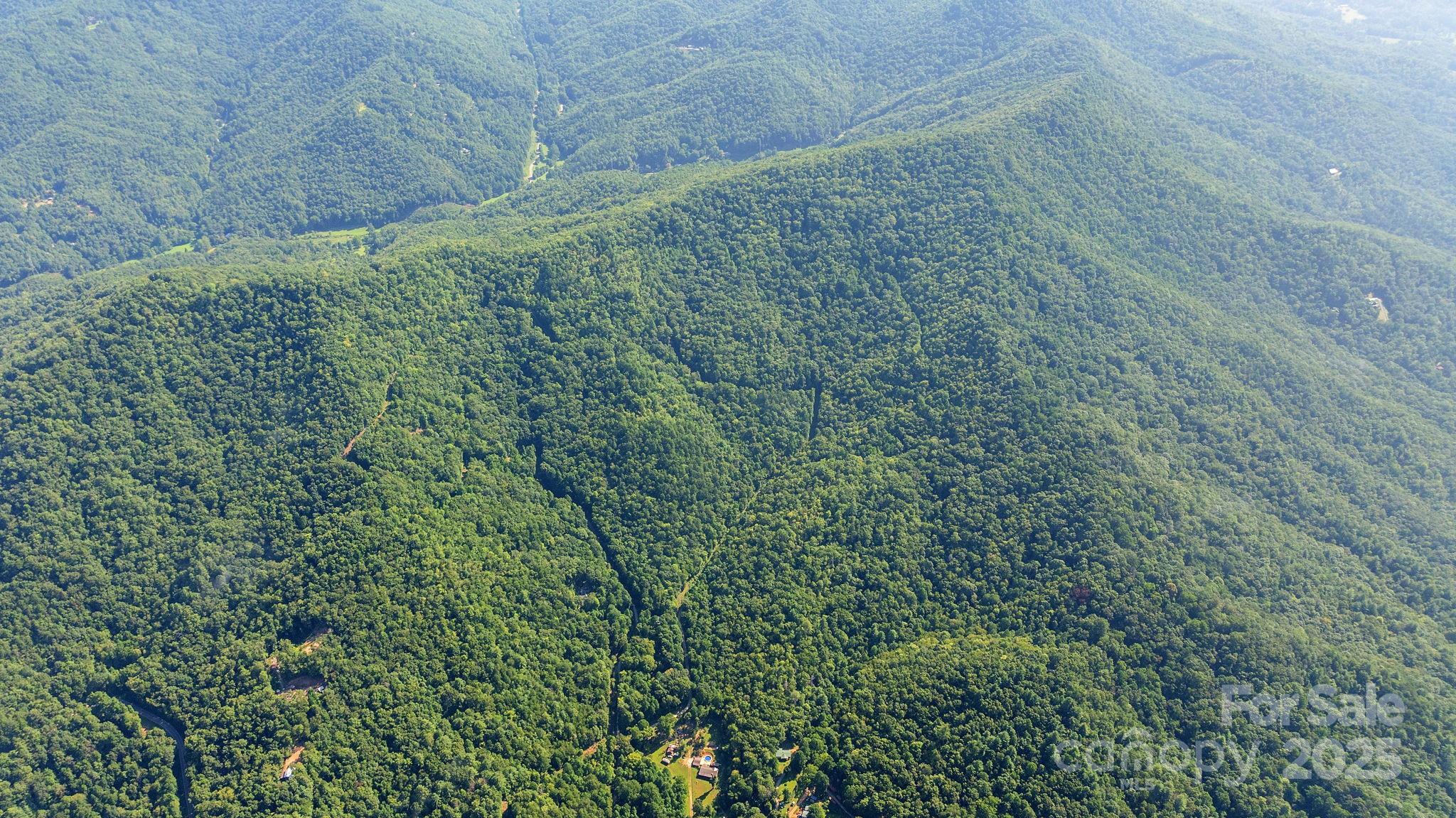 80 Breezewood Drive Property Photo 18