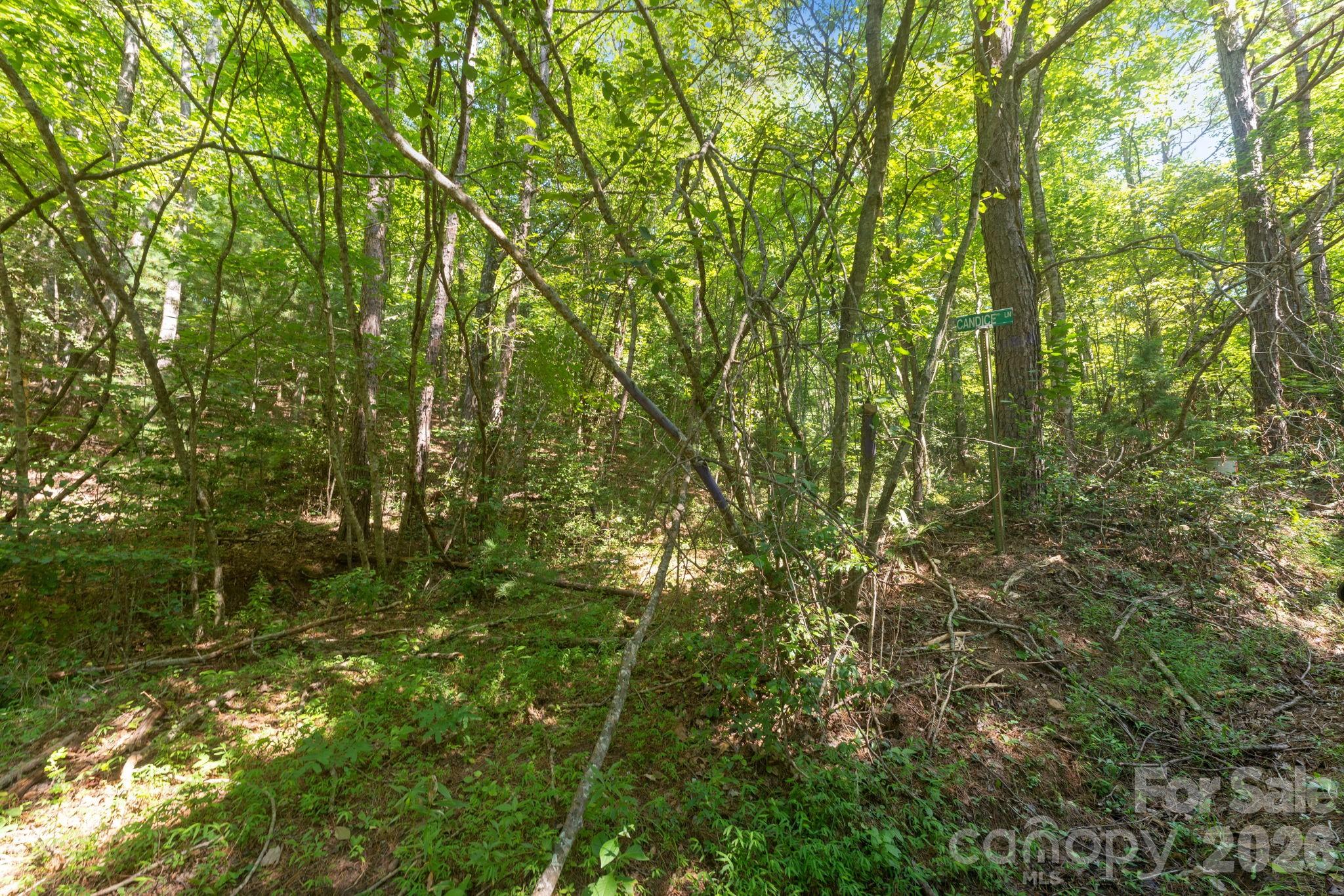 80 Breezewood Drive Property Photo 19