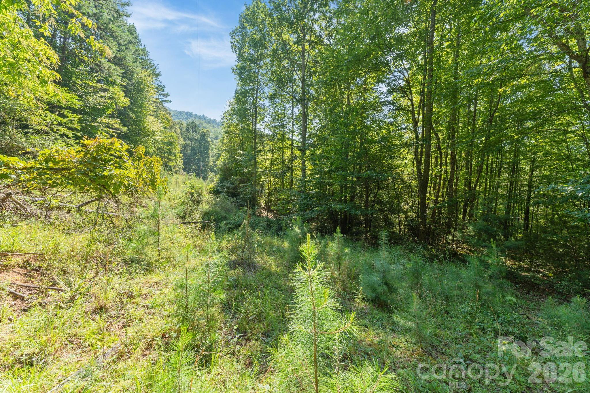 80 Breezewood Drive Property Photo 20